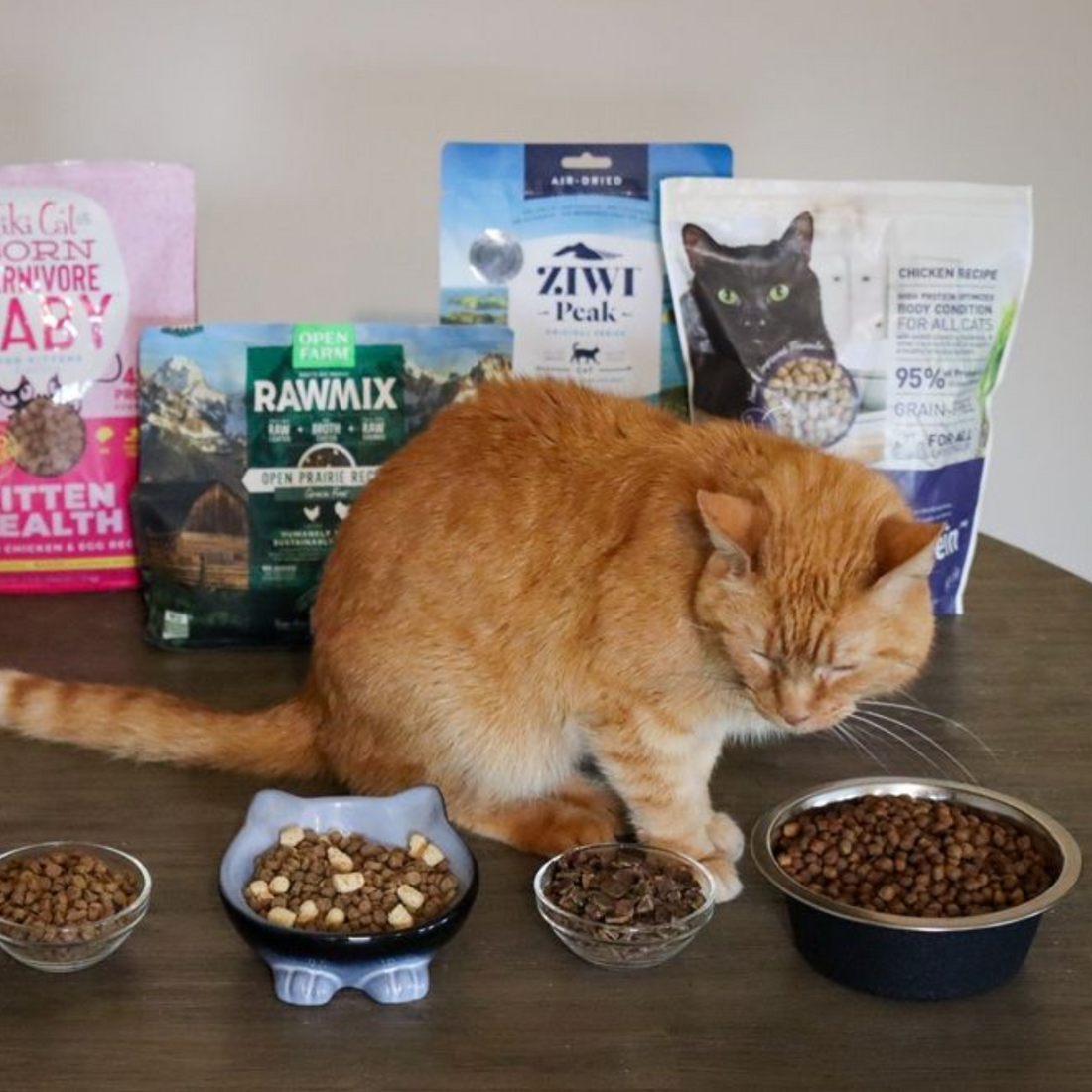 Is Dry Cat Food Right for Your Cat? Pros, Cons & Best Picks