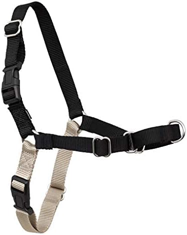 PetSafe Easy Walk Dog Harness, Large