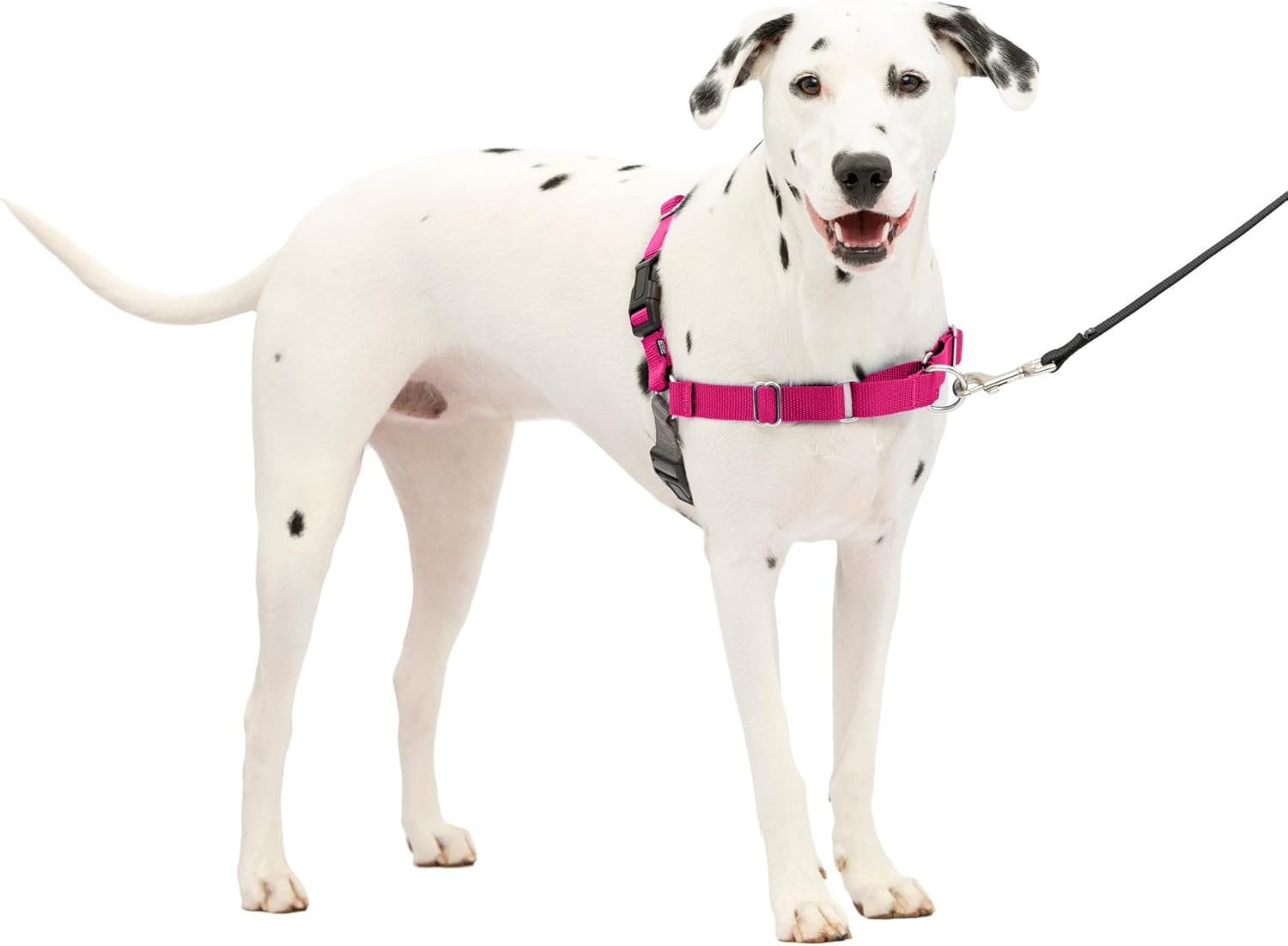 PetSafe Easy Walk Dog Harness, Large