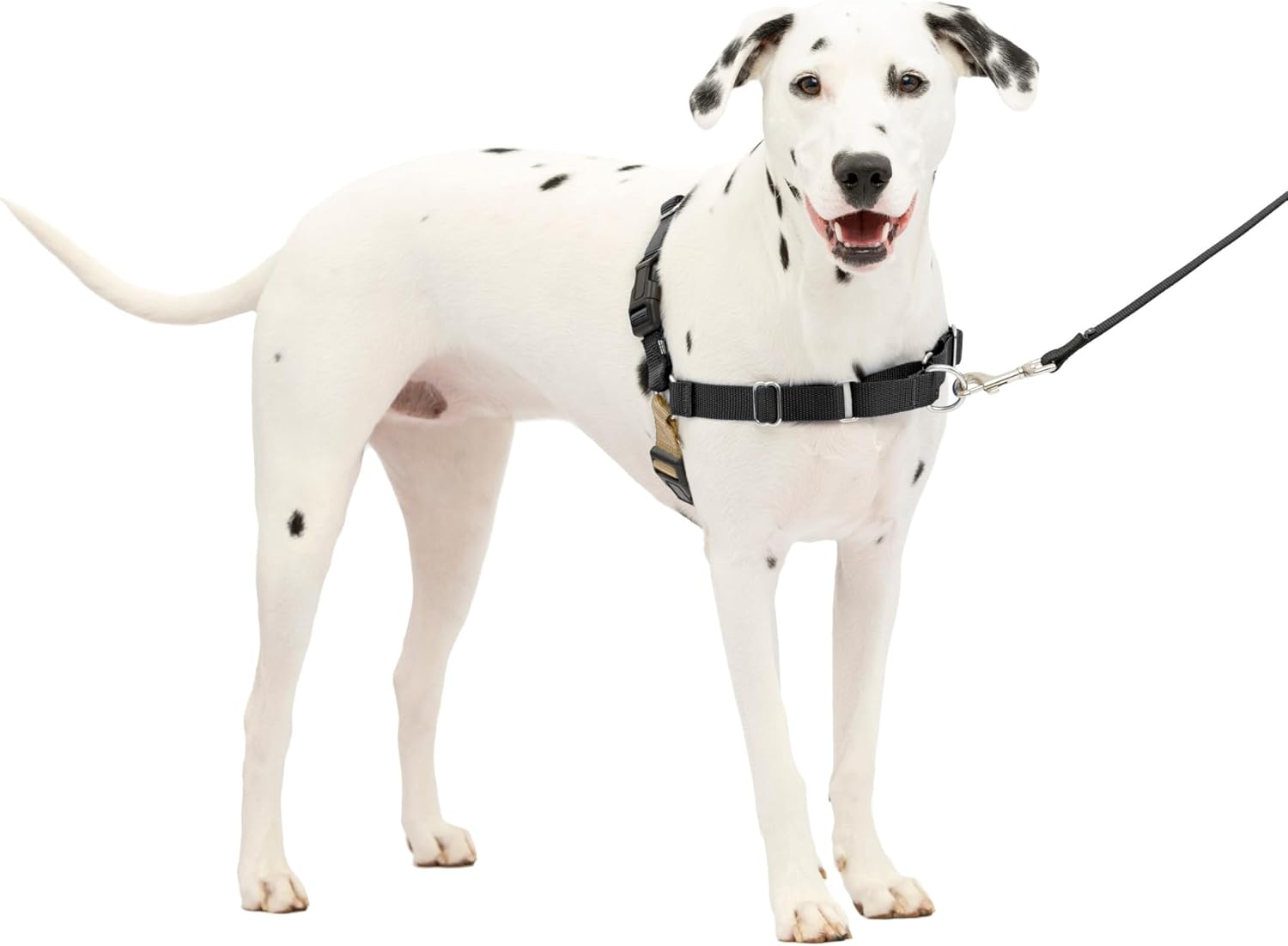 PetSafe Easy Walk Dog Harness, Large