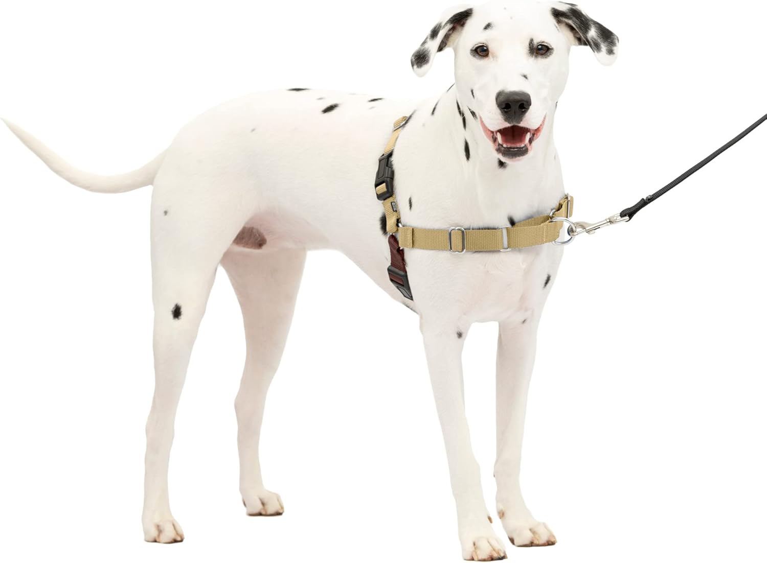 PetSafe Easy Walk Dog Harness, Large