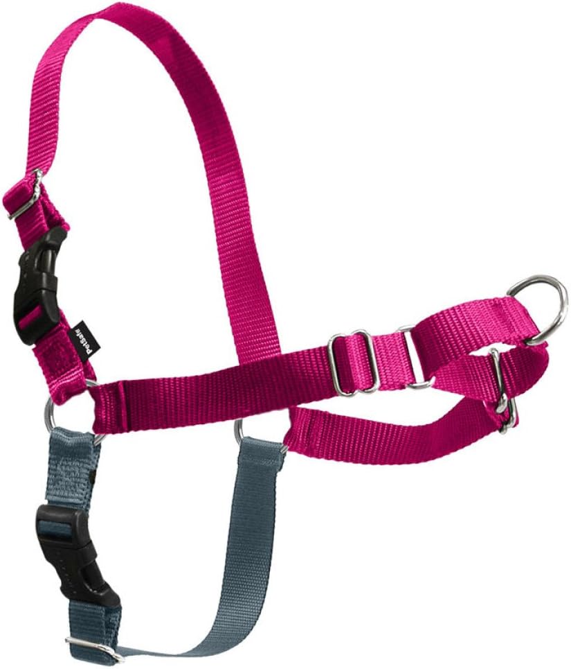 PetSafe Easy Walk Dog Harness, Large