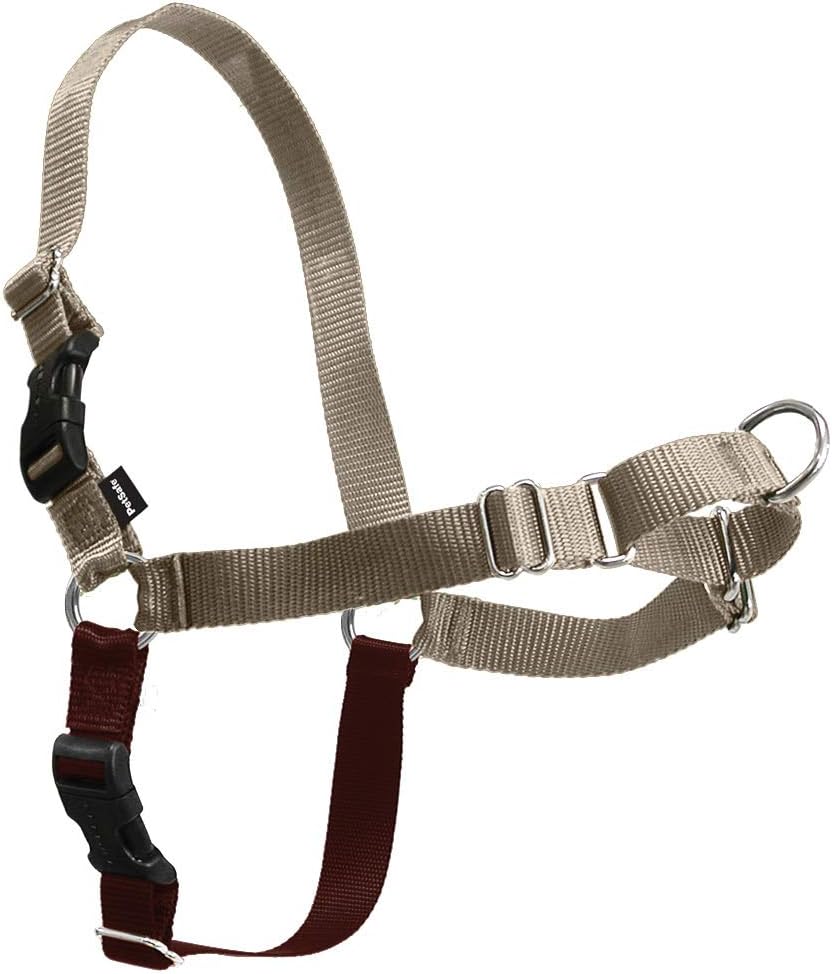 PetSafe Easy Walk Dog Harness, Large