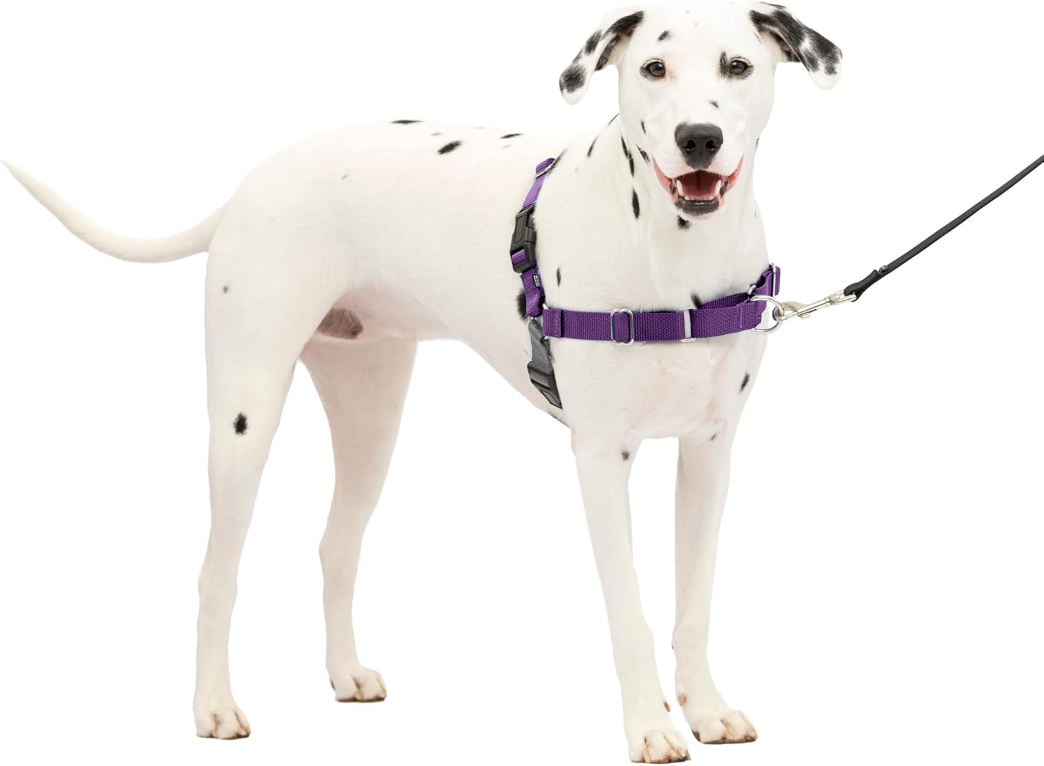 PetSafe Easy Walk Dog Harness, Large