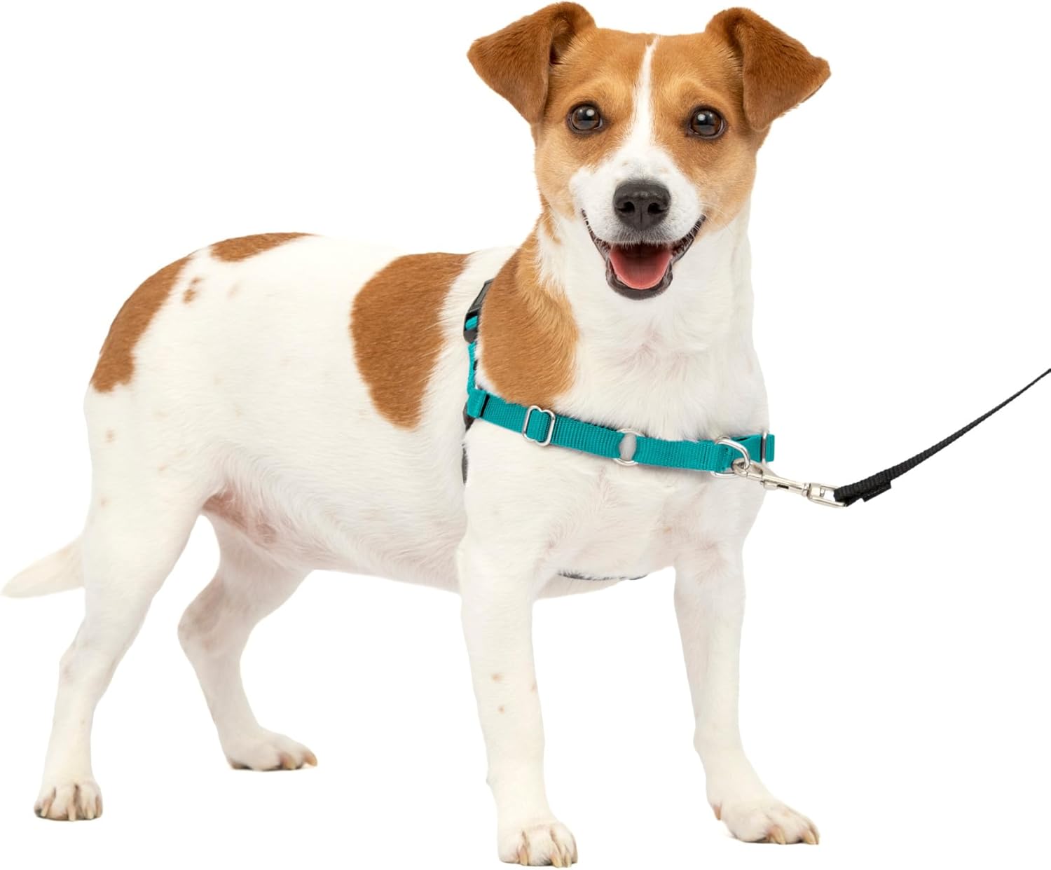 PetSafe Easy Walk Dog Harness, Large