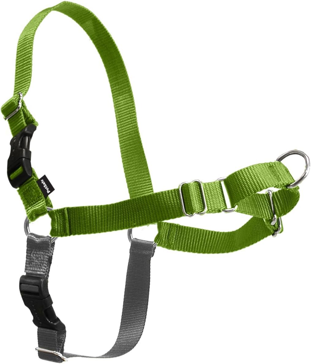 PetSafe Easy Walk Dog Harness, Large