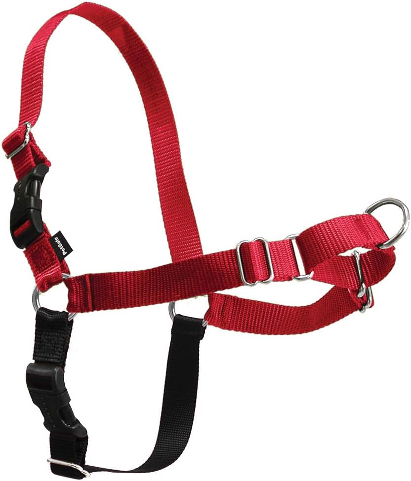 PetSafe Easy Walk Dog Harness, Large