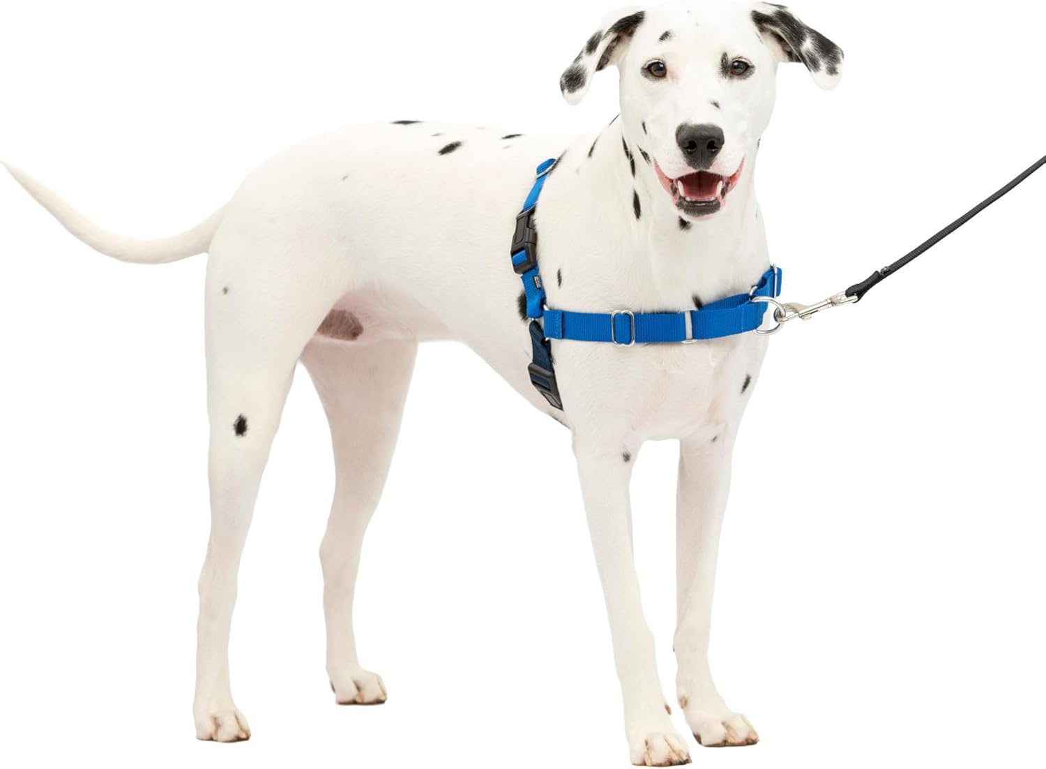 PetSafe Easy Walk Dog Harness, Large