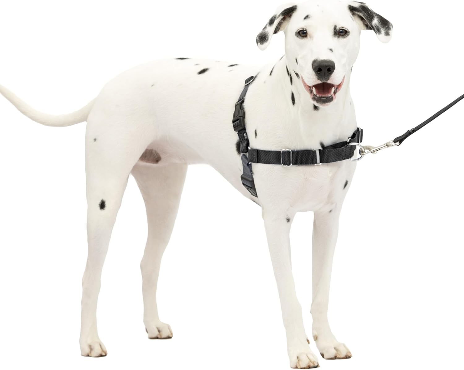 PetSafe Easy Walk Dog Harness, Large