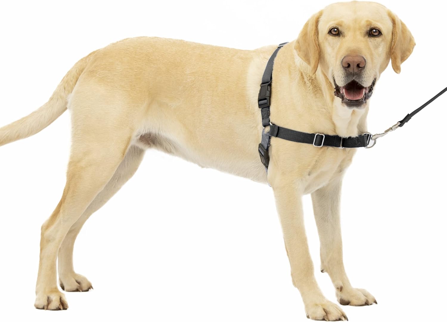 PetSafe Easy Walk Dog Harness, Large