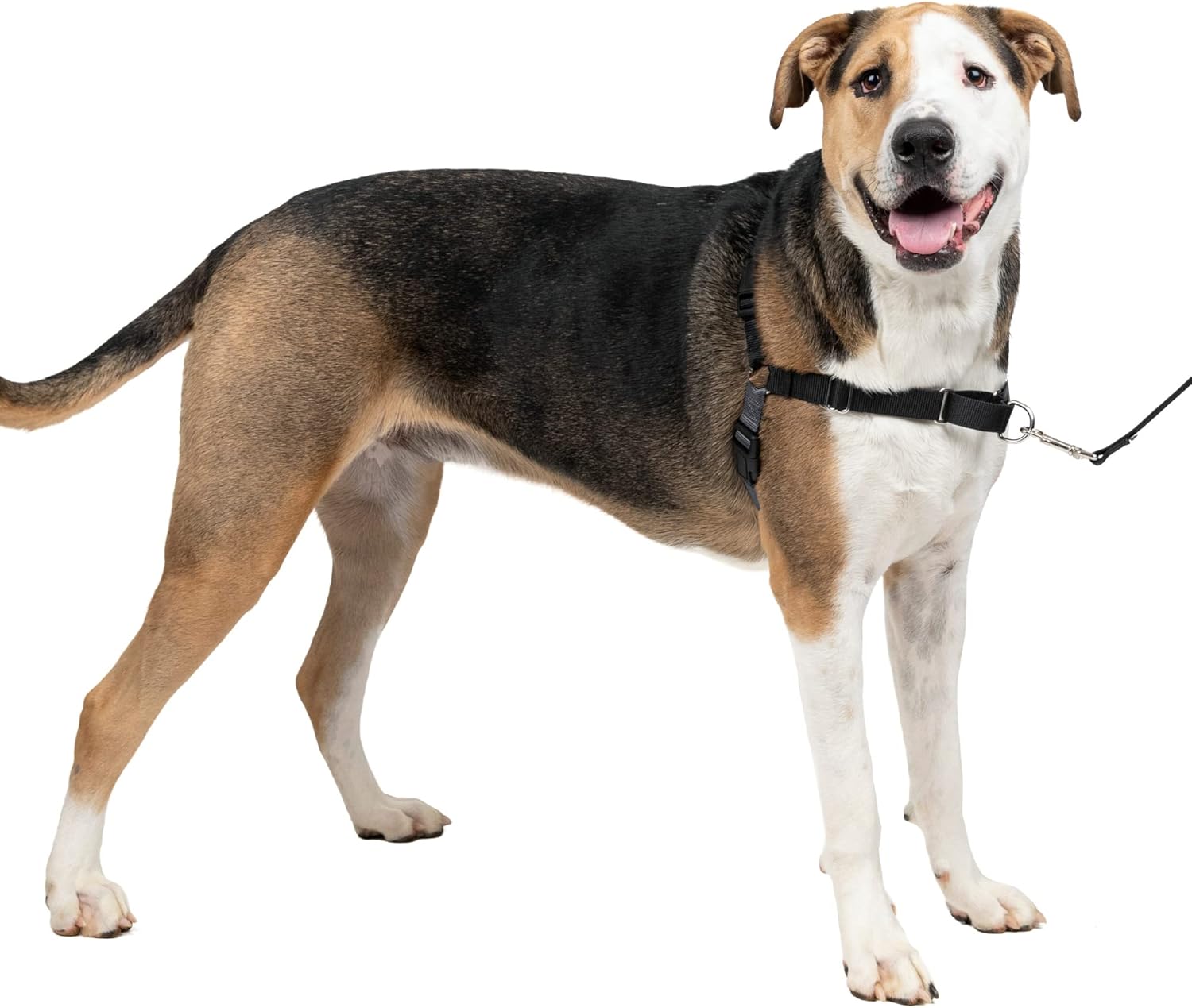 PetSafe Easy Walk Dog Harness, Large
