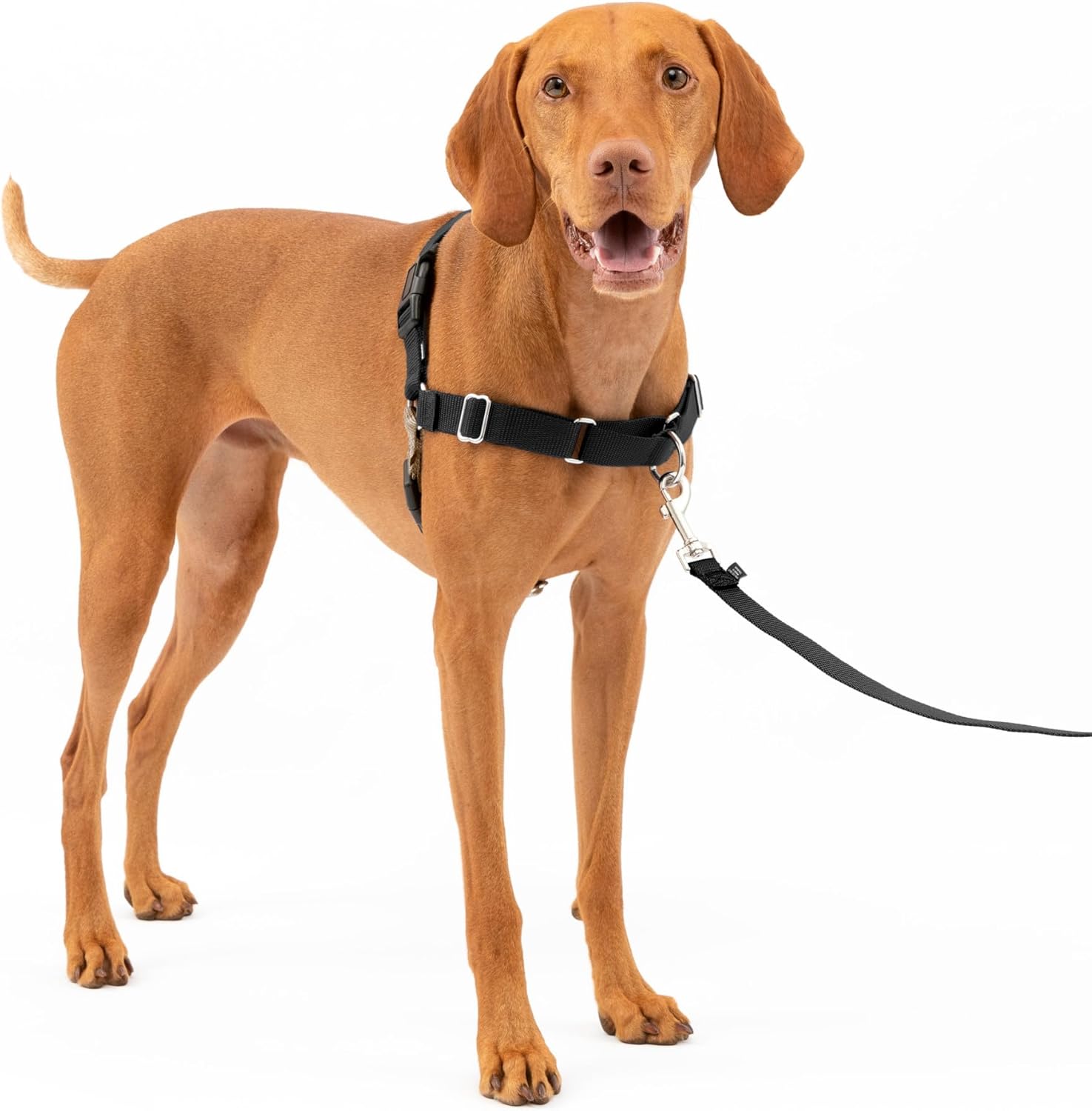 PetSafe Easy Walk Dog Harness, Large