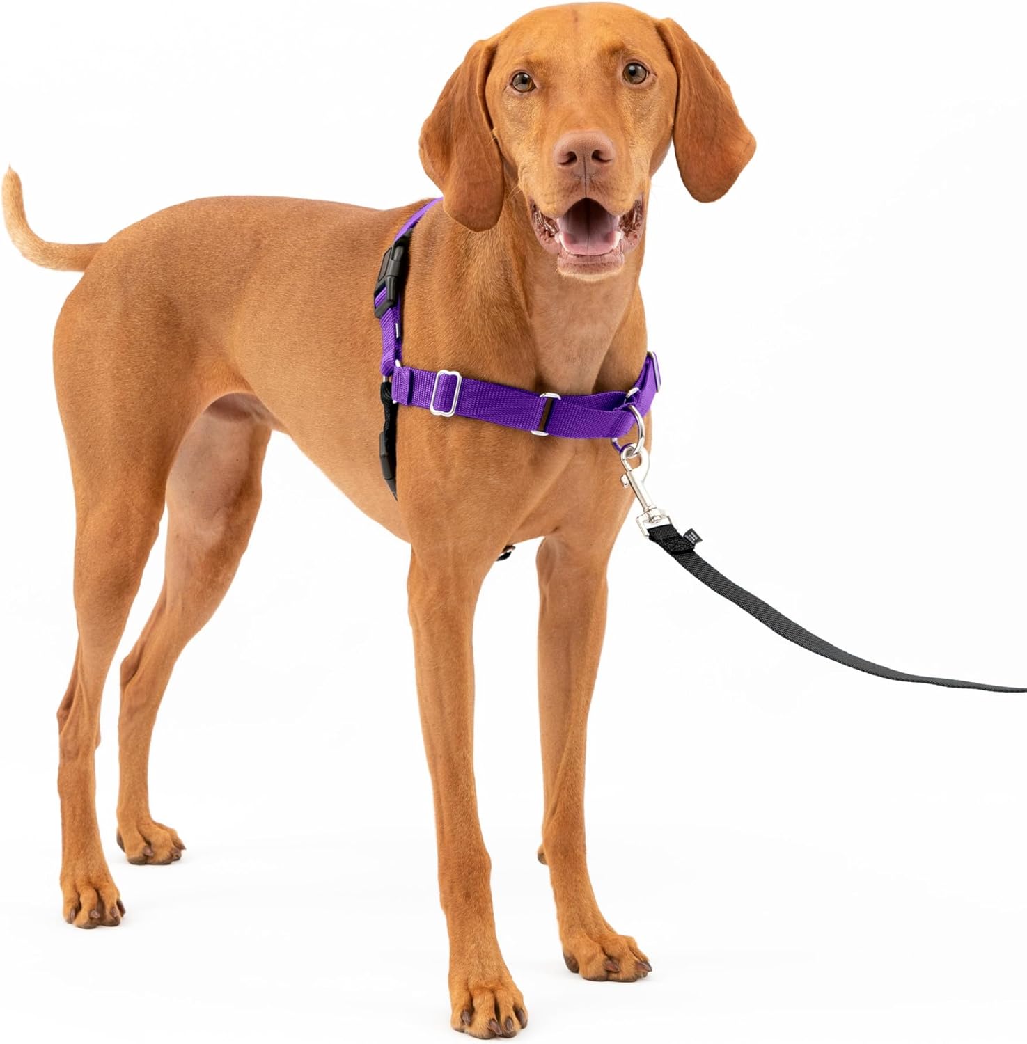 PetSafe Easy Walk Dog Harness, Large