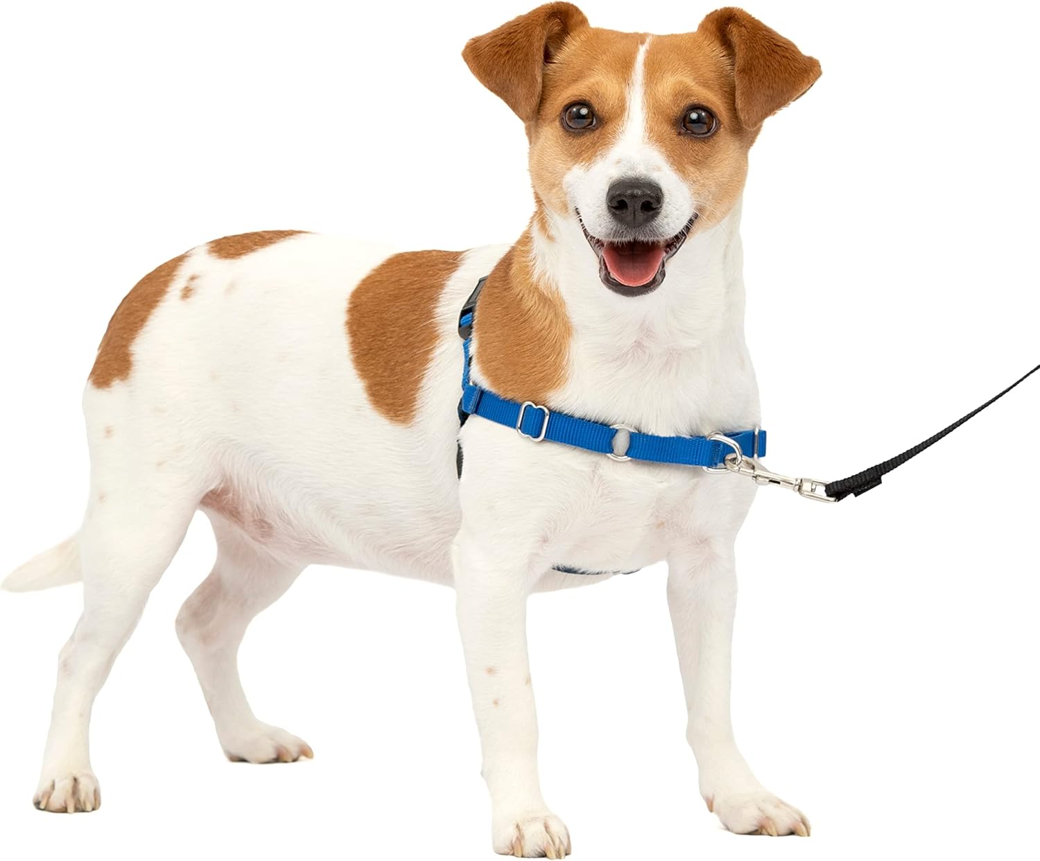 PetSafe Easy Walk Dog Harness, Large
