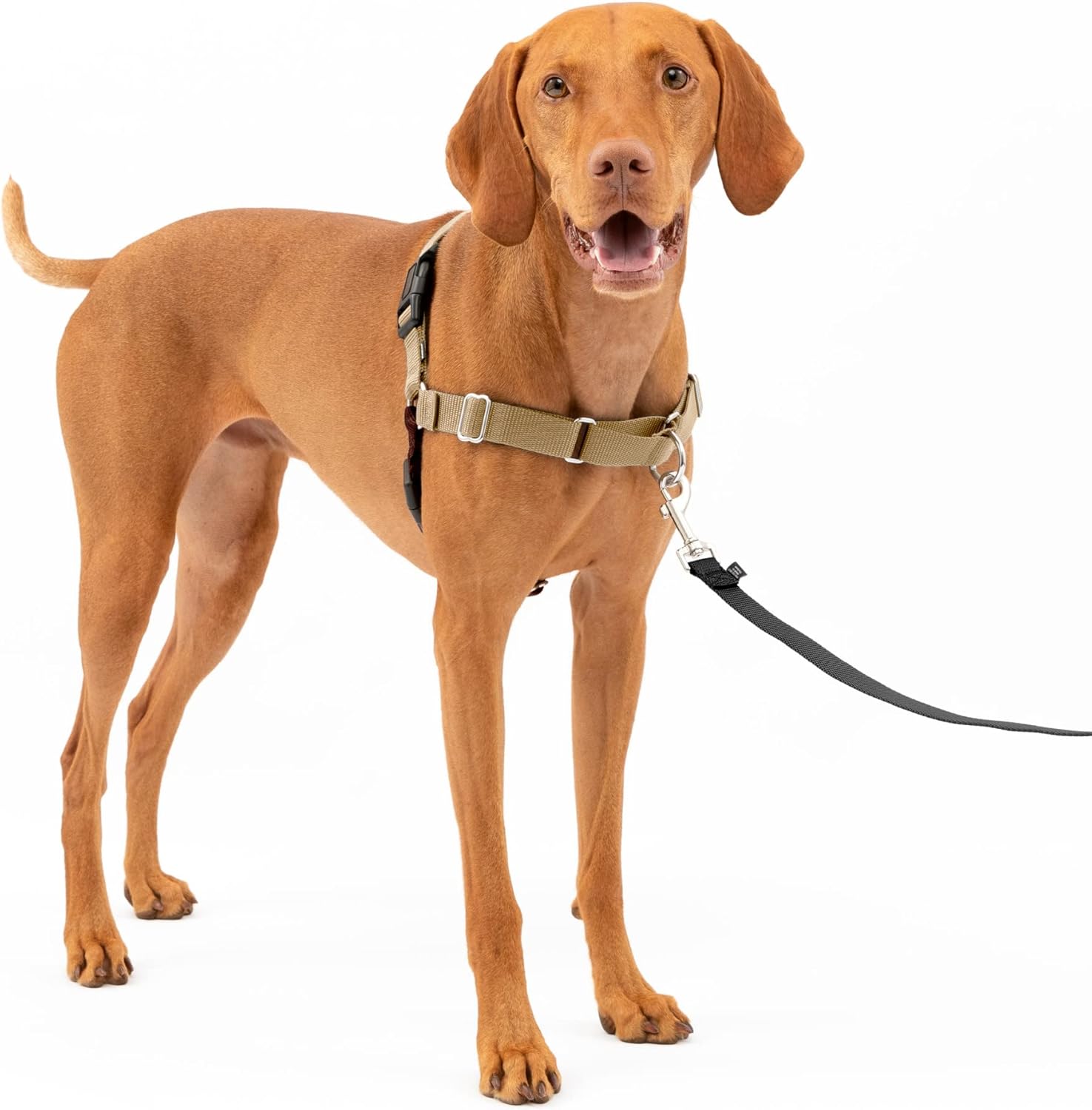PetSafe Easy Walk Dog Harness, Large