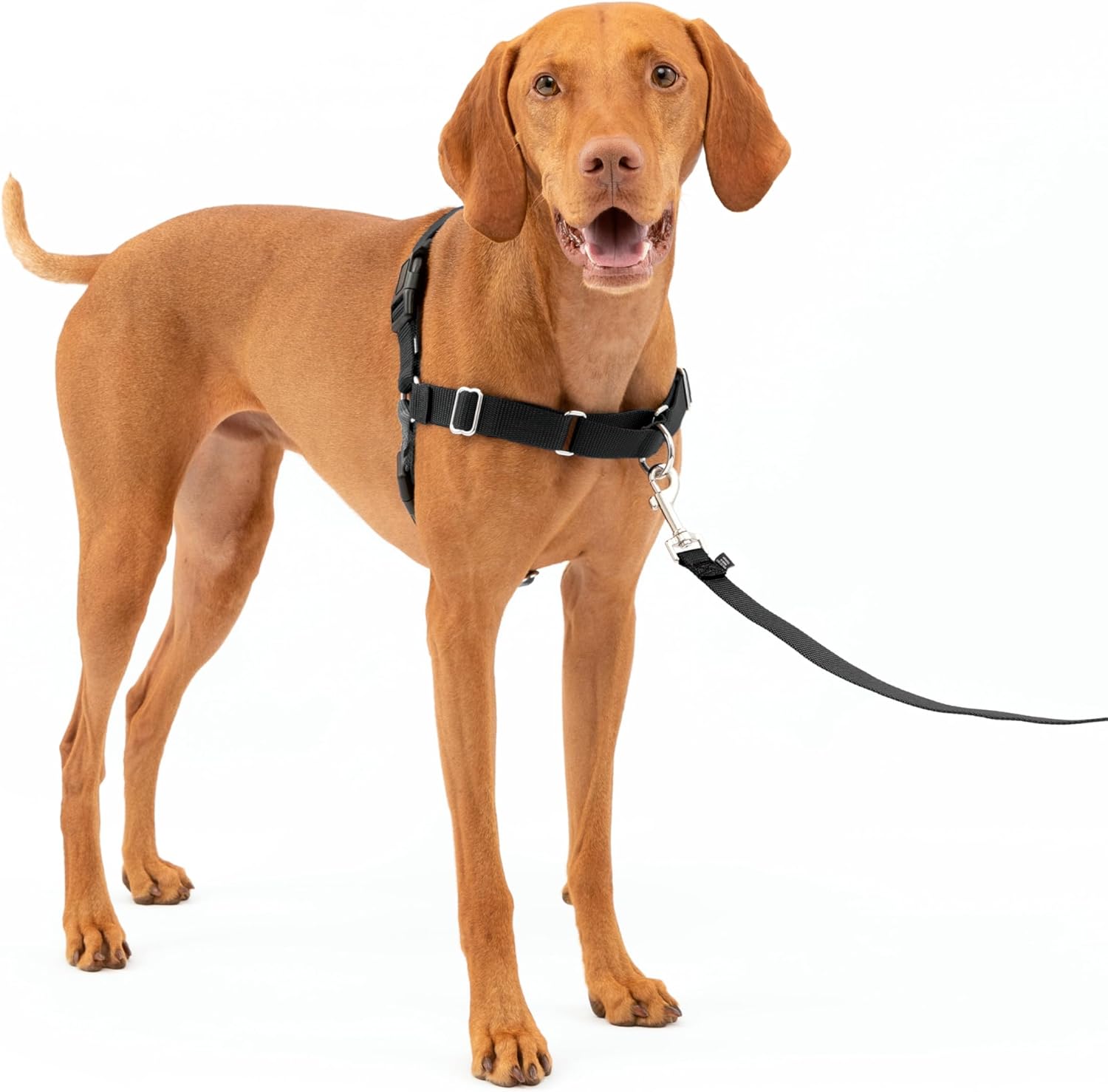 PetSafe Easy Walk Dog Harness, Large