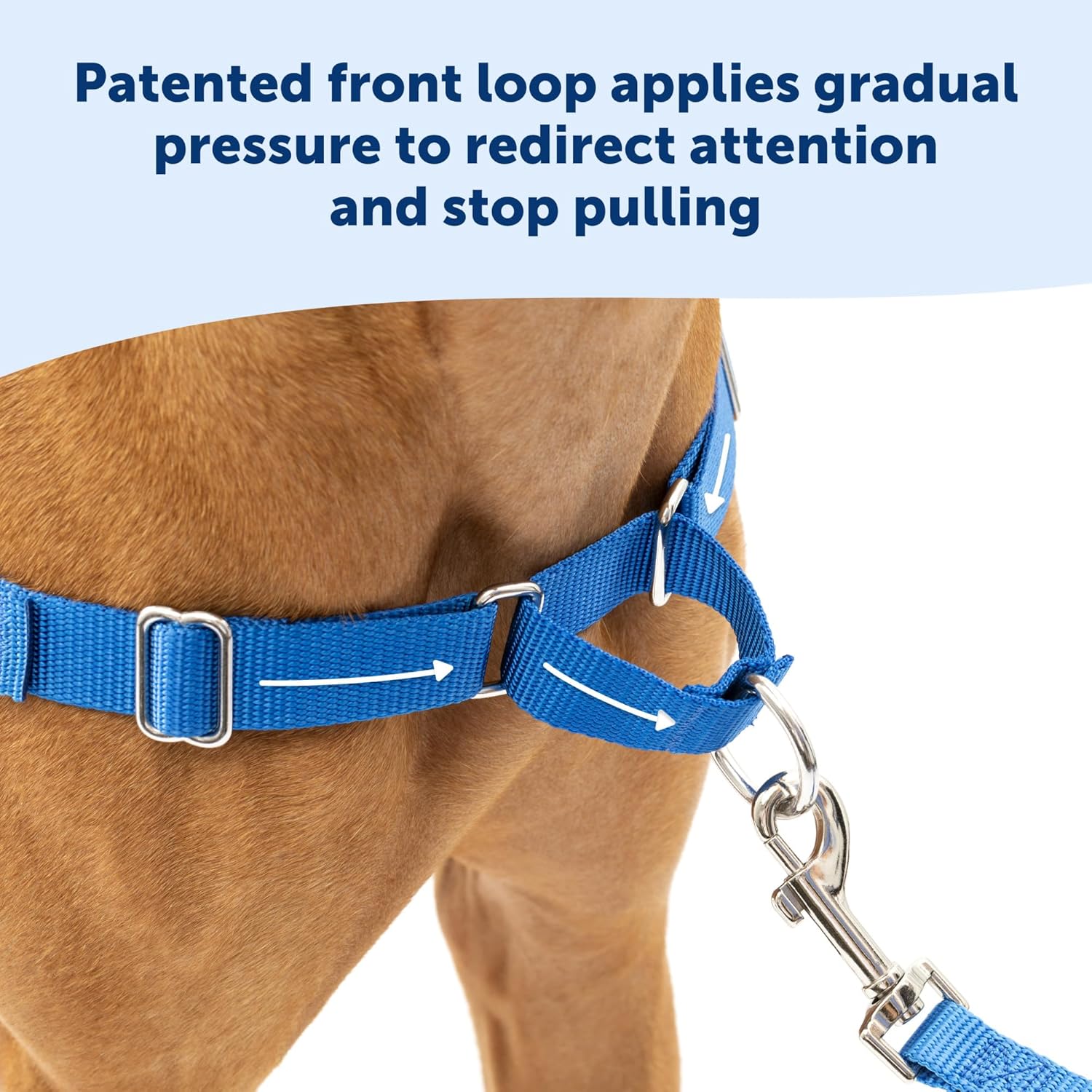 PetSafe Easy Walk Dog Harness, Large