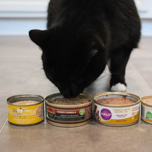 10 Best Canned Cat Foods of 2025 – Healthy, Tasty, Pet-Approved