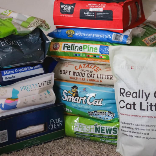 Best Cat Litters of 2025 — Top Picks for Odor Control, Clumping & Low Dust