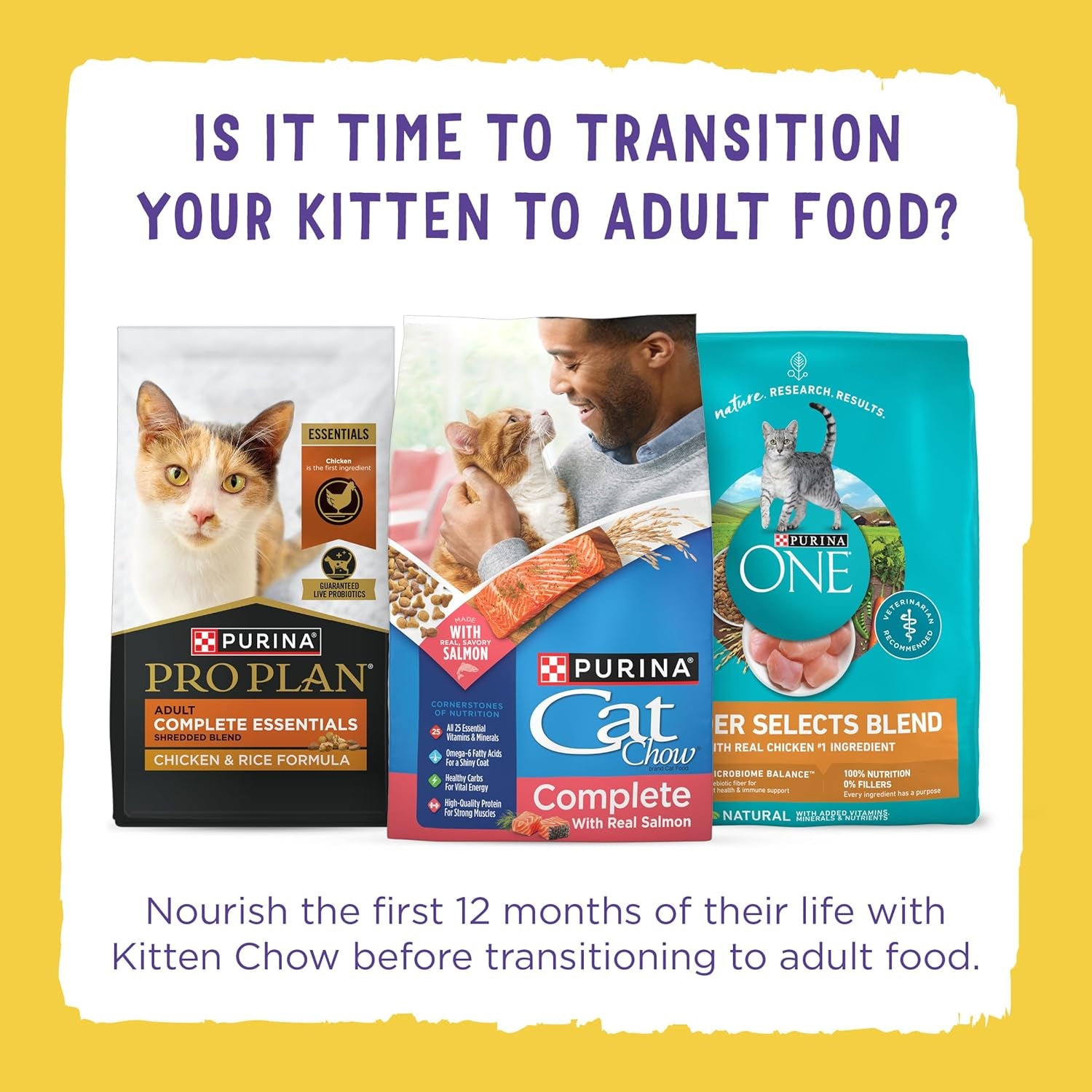 2 Bags Purina Kitten ChowHealthy Development, Indoor Dry Kitten Food, Chicken