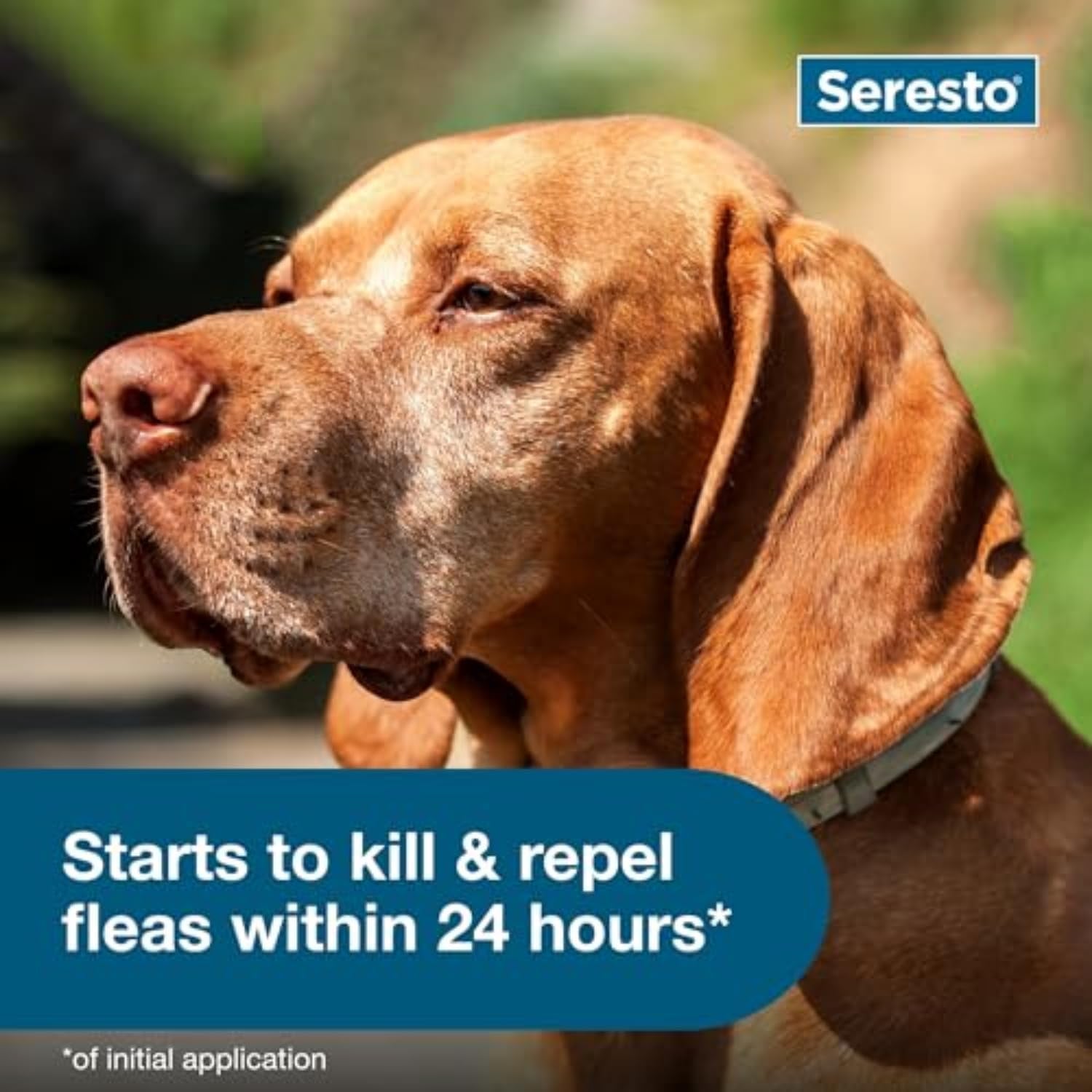 Seresto Flea and Tick Collar for LARGE Dogs NEW & SEALED!