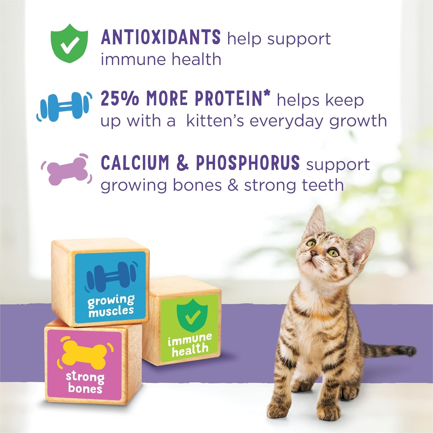 2 Bags Purina Kitten ChowHealthy Development, Indoor Dry Kitten Food, Chicken