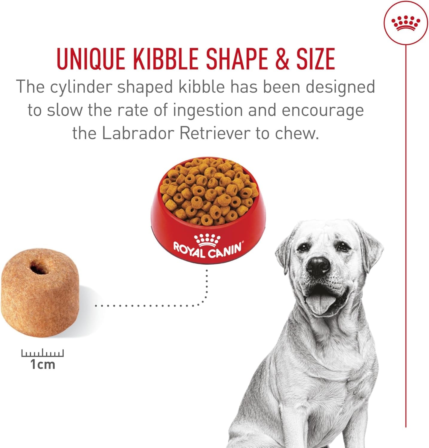 Royal Canin Breed Health Nutrition Labrador Retriever Adult Dry Dog Food, 30-lb