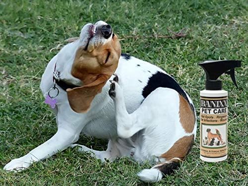 Banixx Pet Liquid Spray 8oz Ear Infection Hot Spot Ringworm Wounds