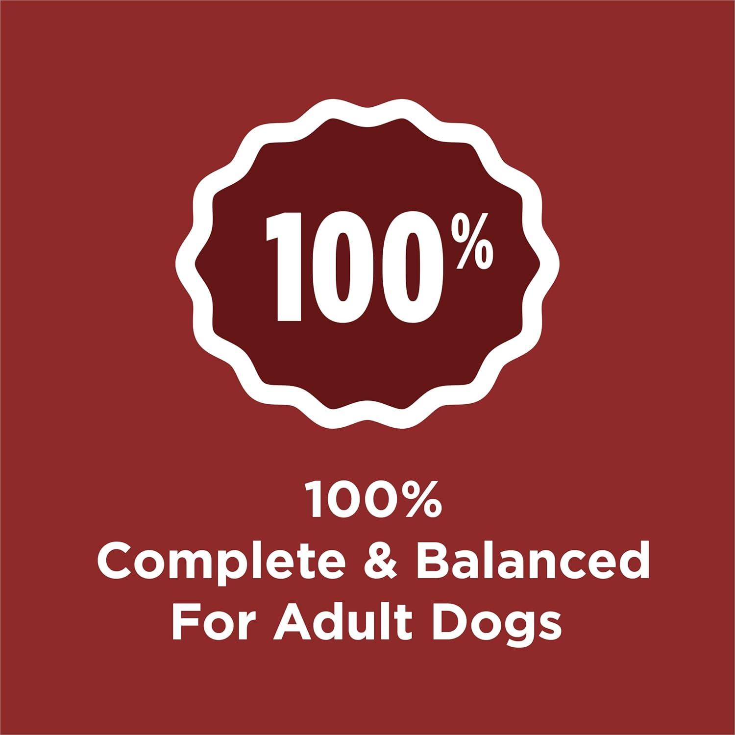 2Pack Complete Adult Dry Dog Food Kibble Beef Flavor - 18.5 Lb. Bag