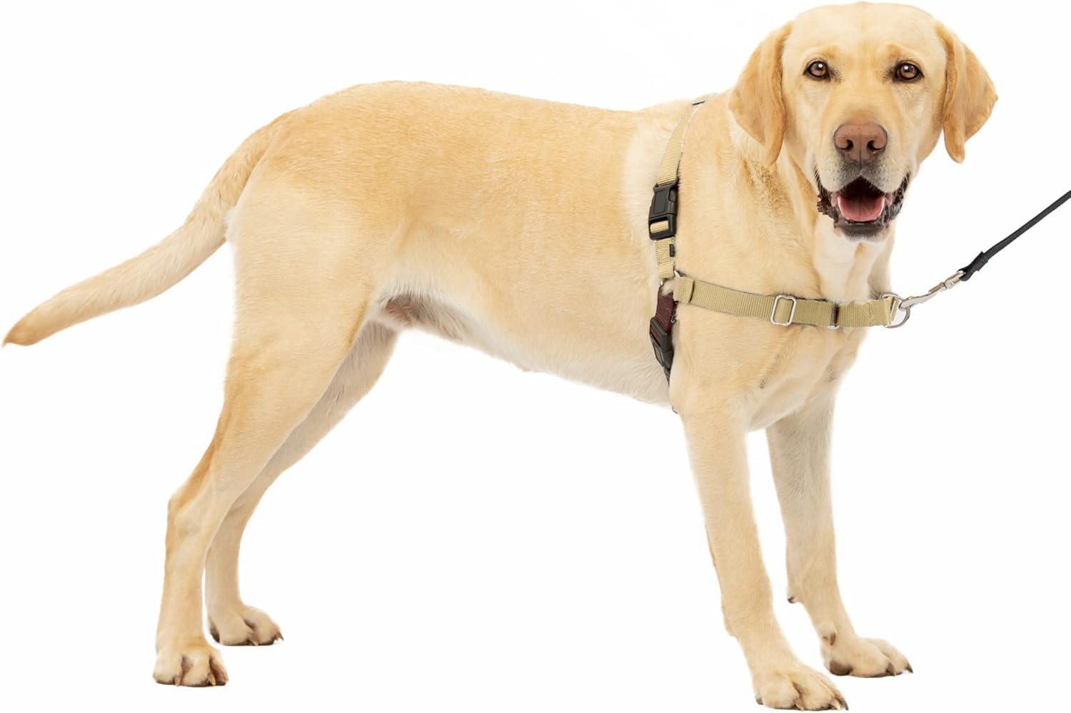 PetSafe Easy Walk Dog Harness, Large