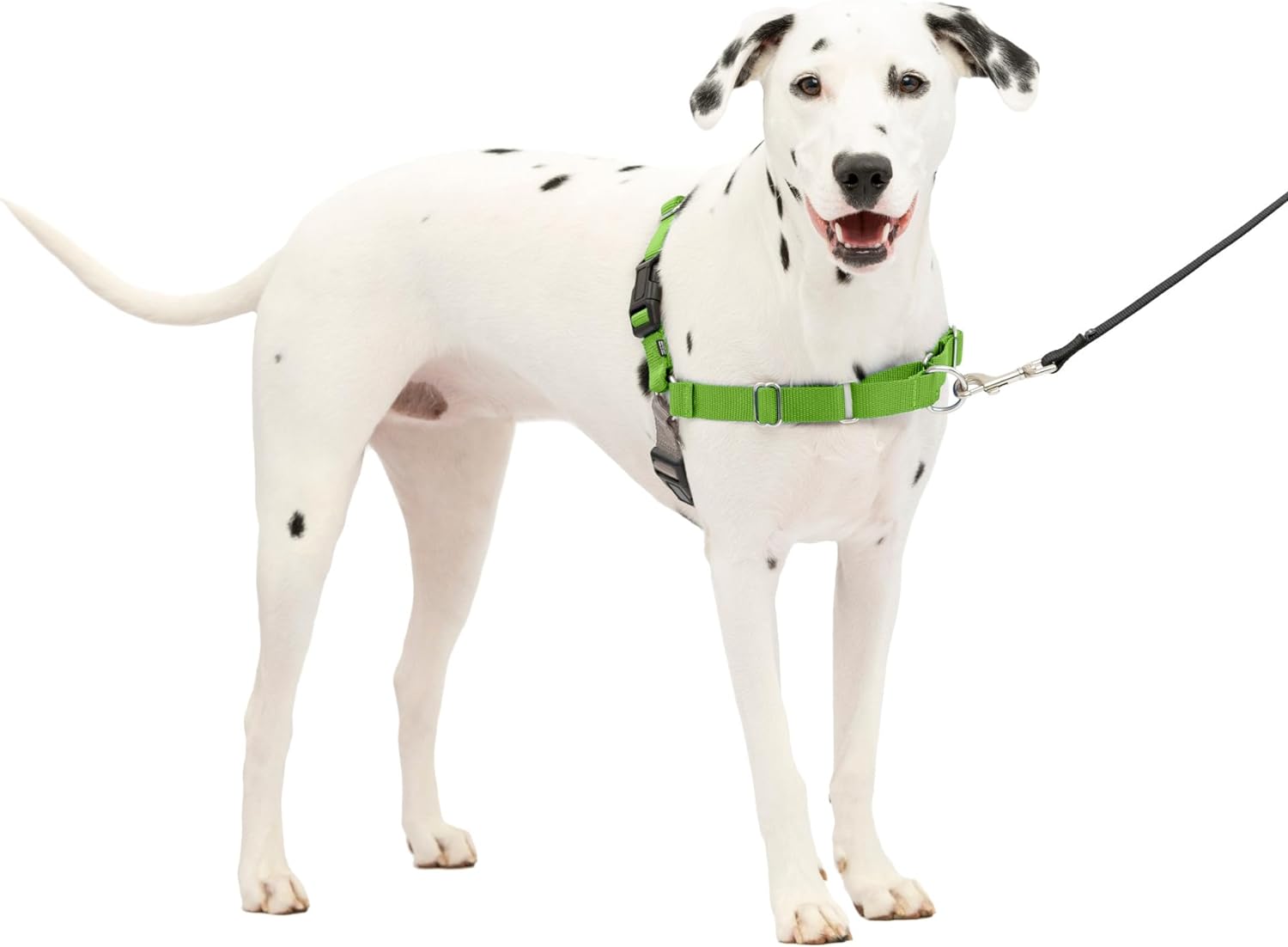 PetSafe Easy Walk Dog Harness, Large