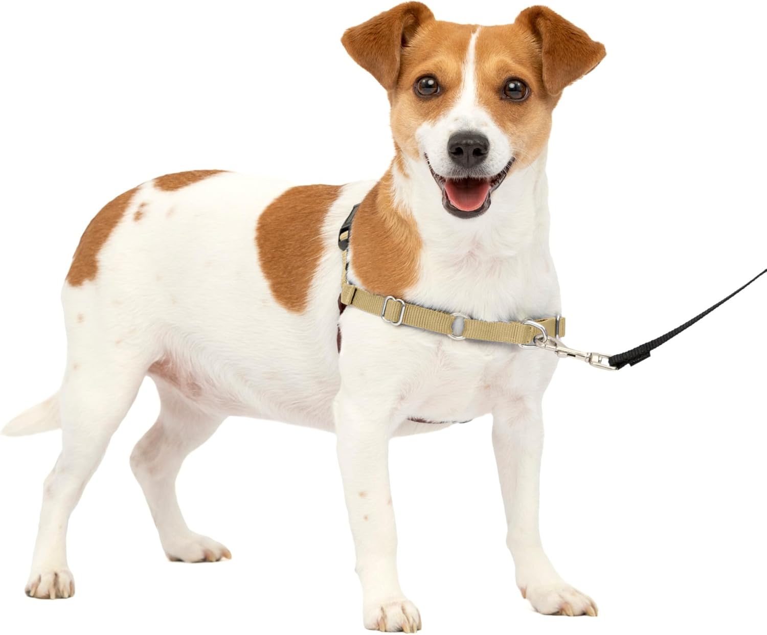 PetSafe Easy Walk Dog Harness, Large