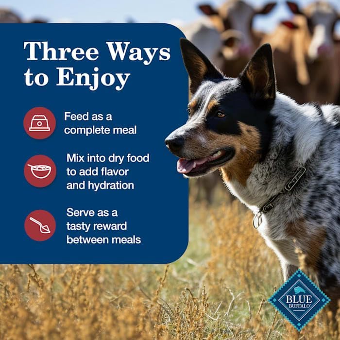 Blue Buffalo Chicken & Beef Pate Wet Dog Food for Adult Dogs - 12.5oz/6ct