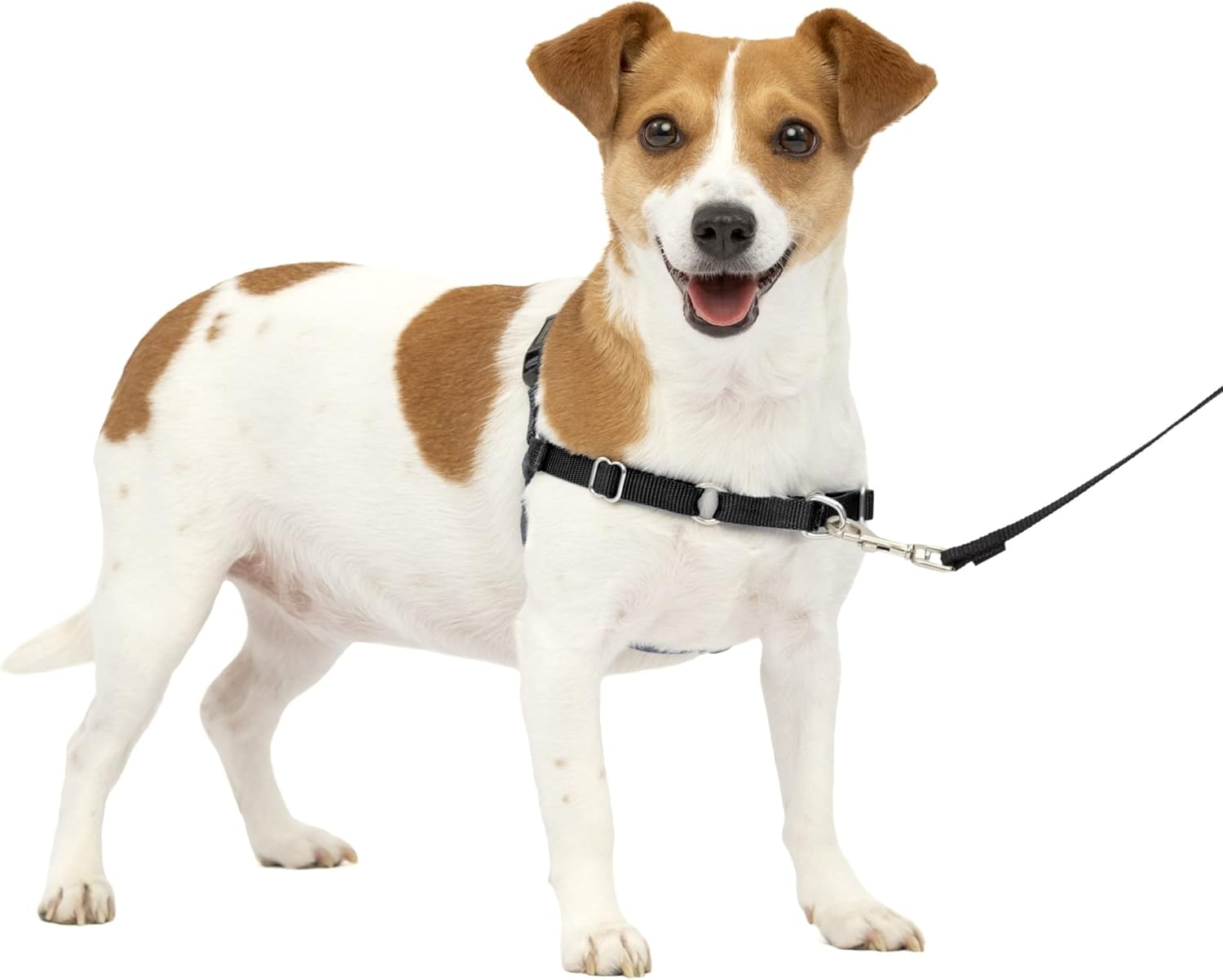 PetSafe Easy Walk Dog Harness, Large