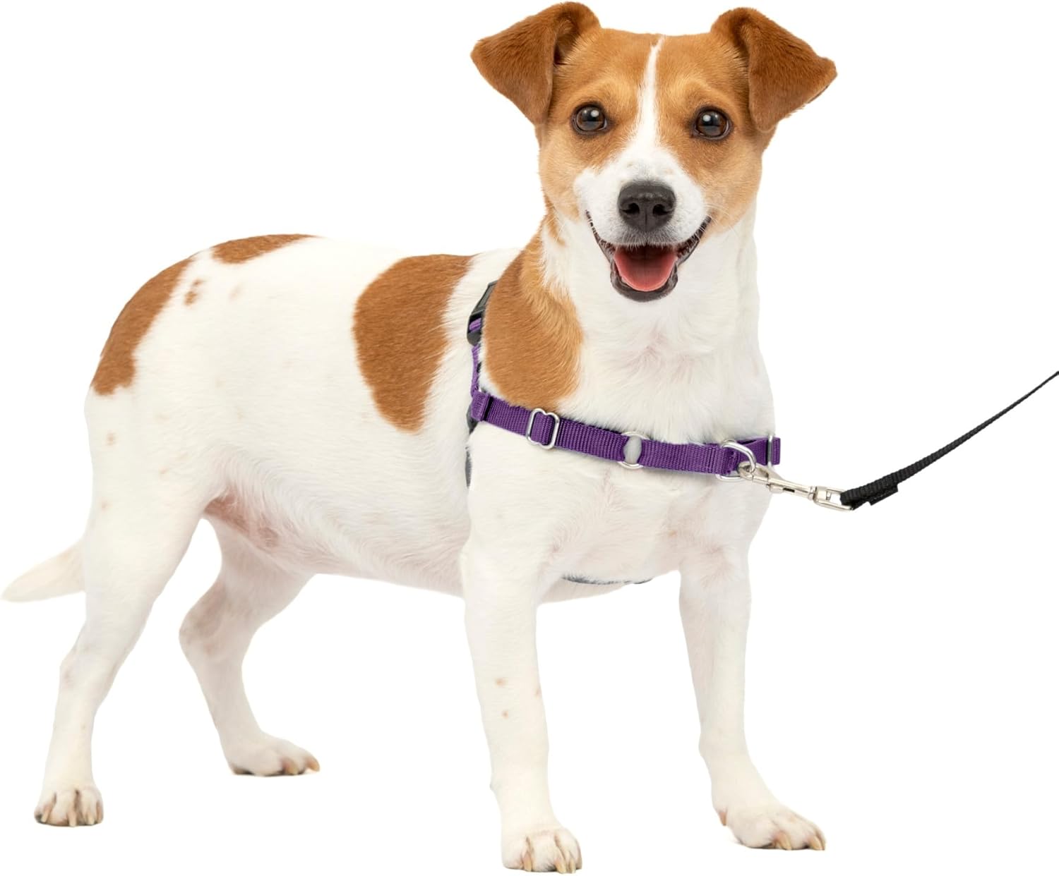 PetSafe Easy Walk Dog Harness, Large