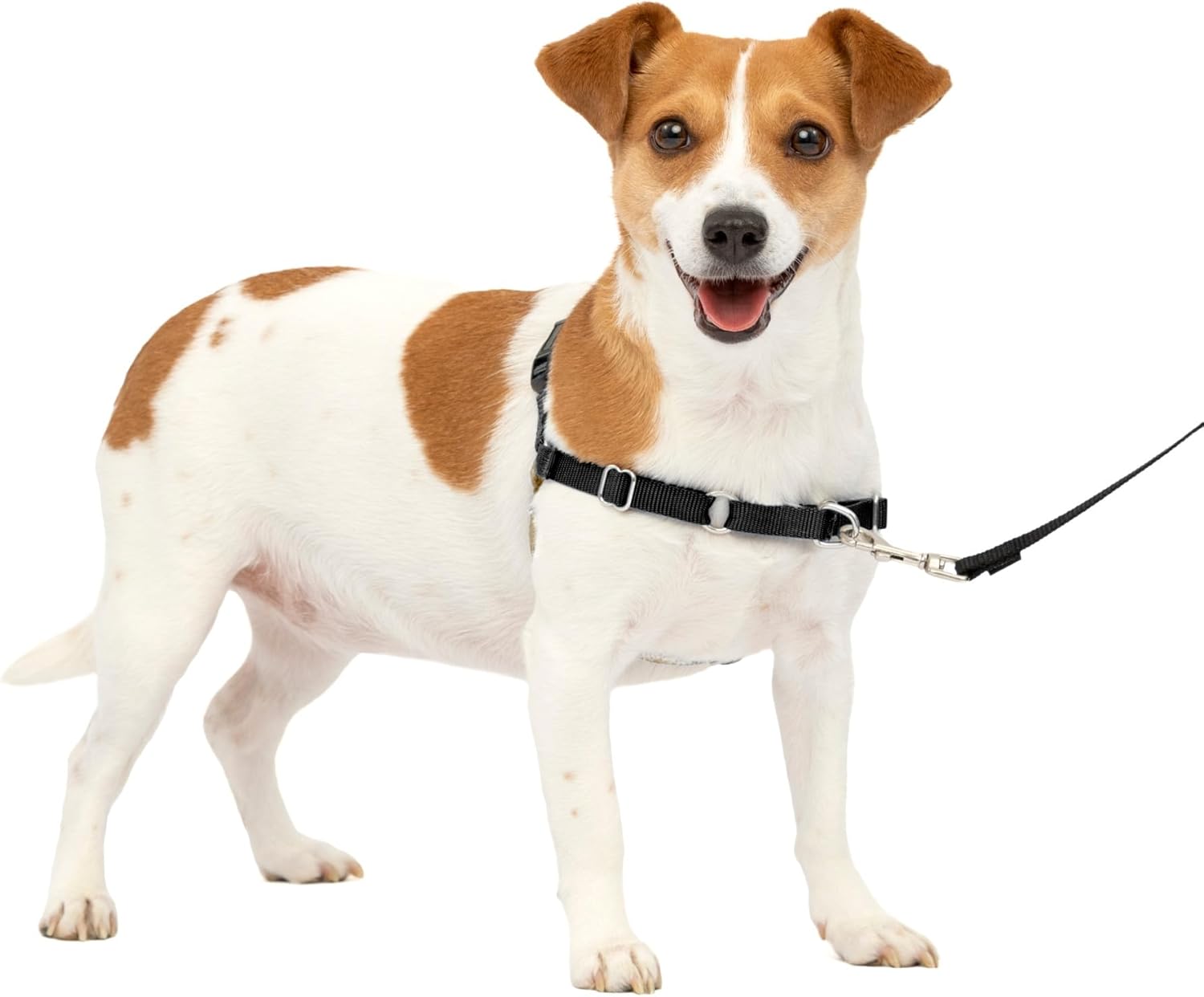 PetSafe Easy Walk Dog Harness, Large