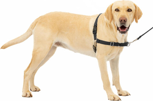 PetSafe Easy Walk Dog Harness, Large