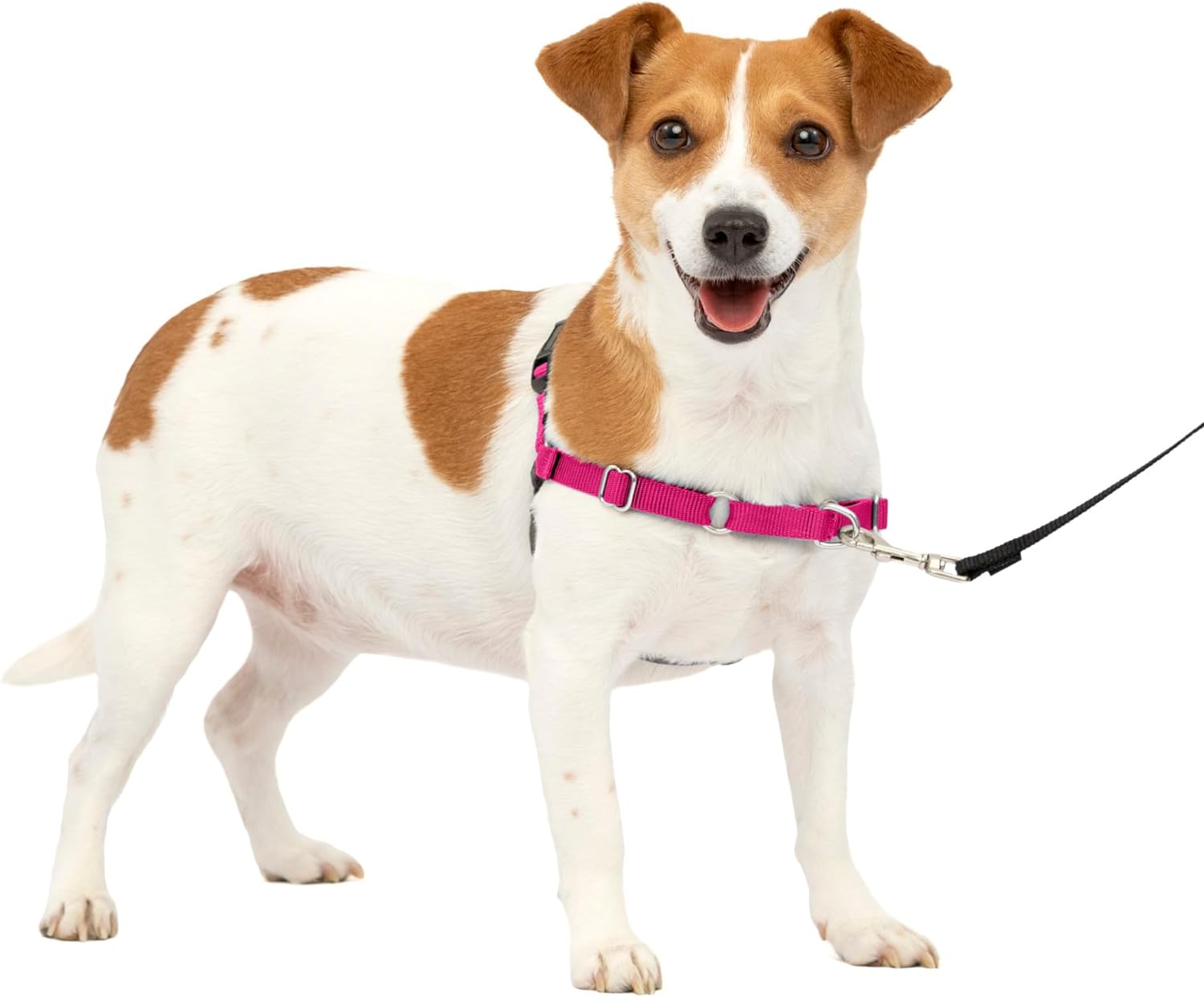 PetSafe Easy Walk Dog Harness, Large