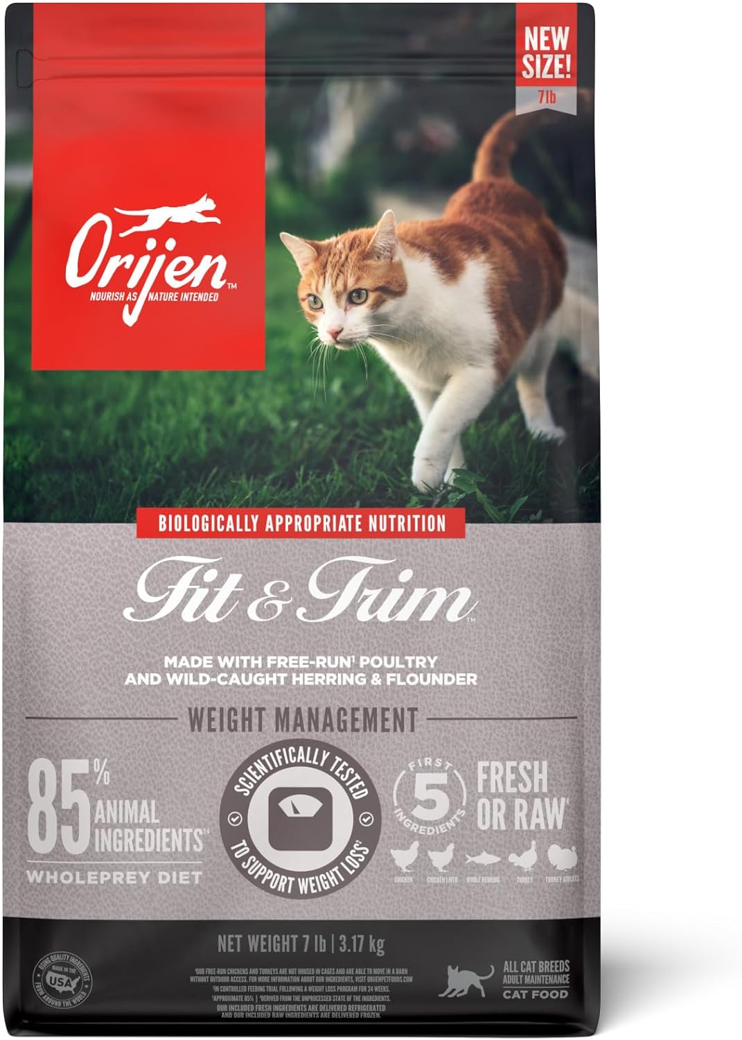 Grain Free High Protein Premium Dry Cat Food Original Recipe 12Lb Bag