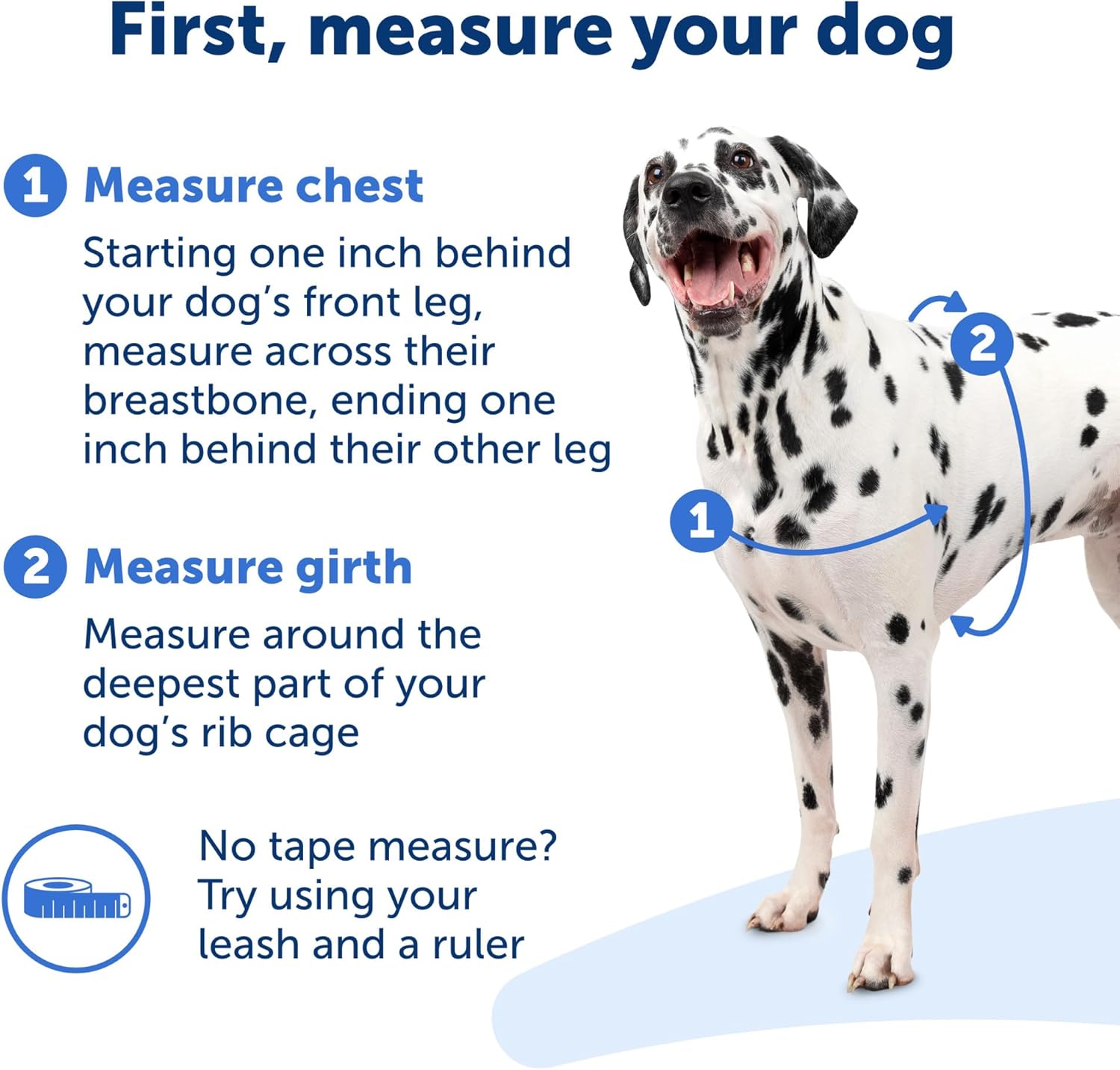 PetSafe Easy Walk Dog Harness, Large