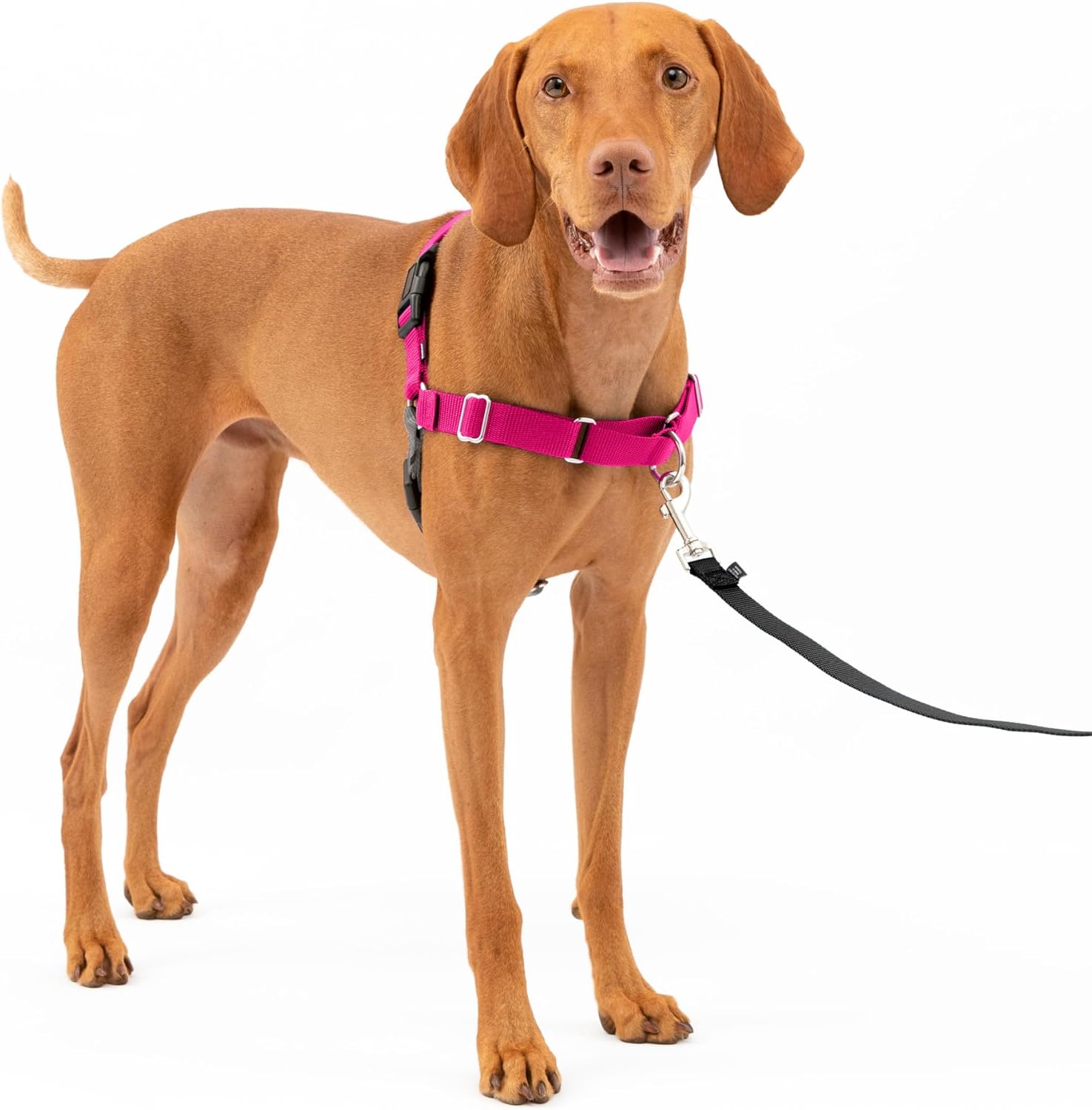 PetSafe Easy Walk Dog Harness, Large