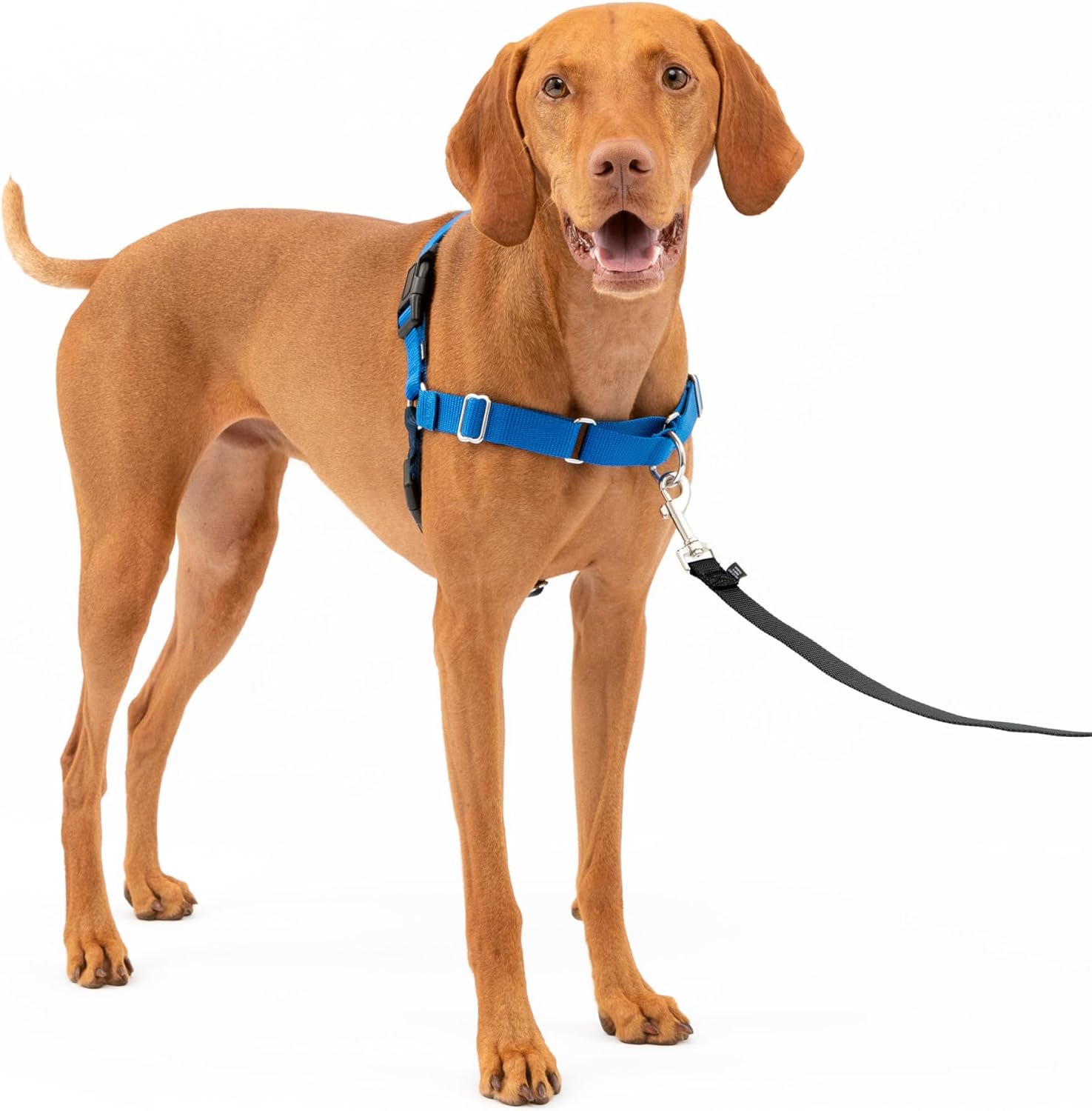 PetSafe Easy Walk Dog Harness, Large