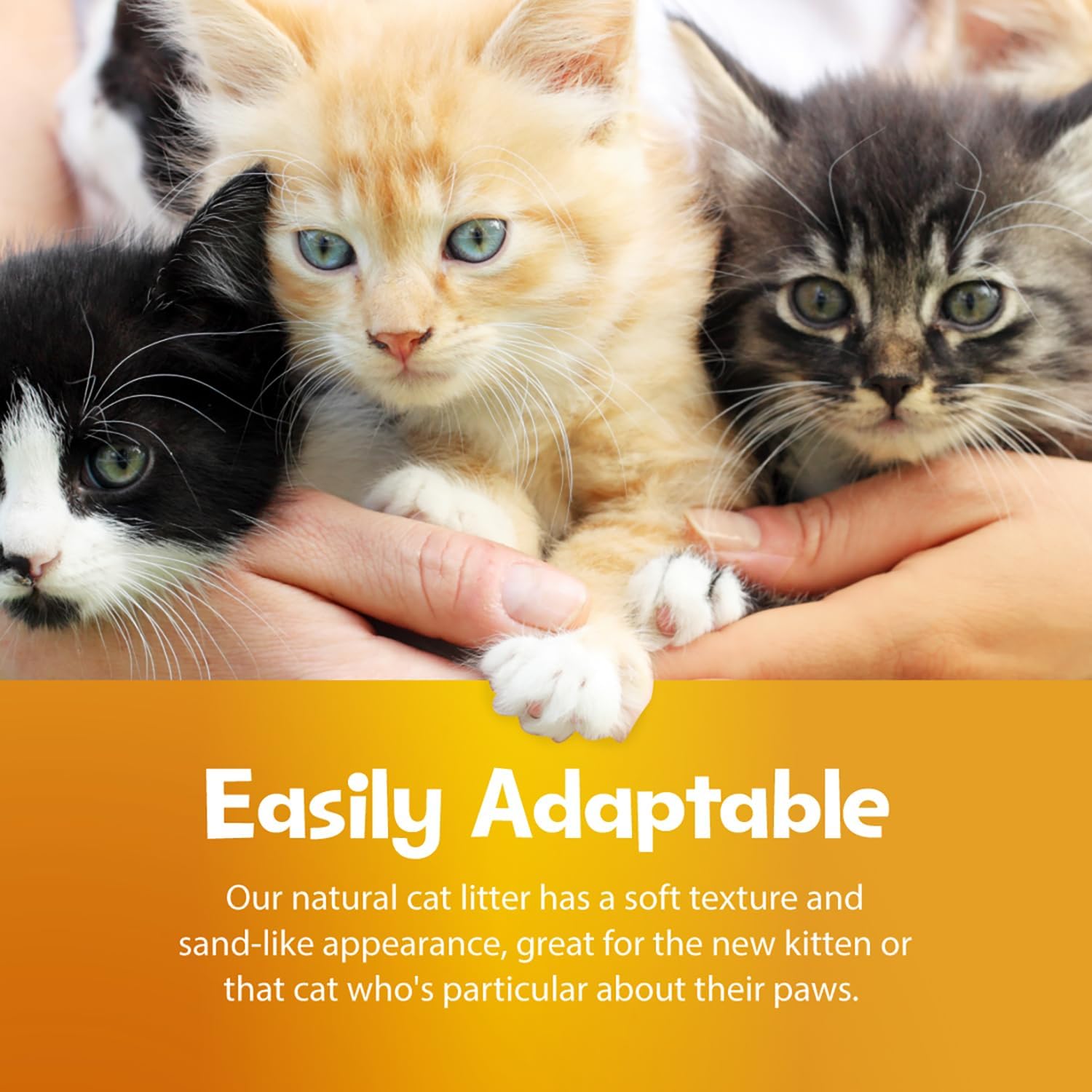 20 lb Unscented Clumping Cat Litter Made from Grass - Biodegradable & Safe
