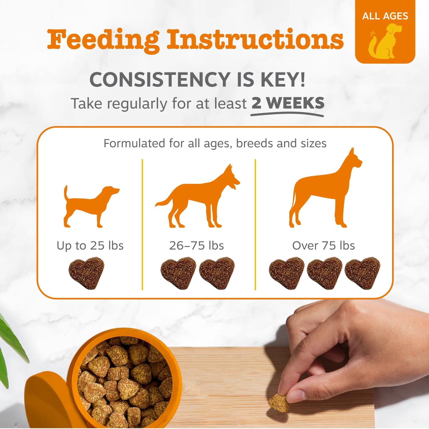 Zesty Paws 90 Probiotics for Dogs Digestive Enzymes for Gut Flora Pumpkin