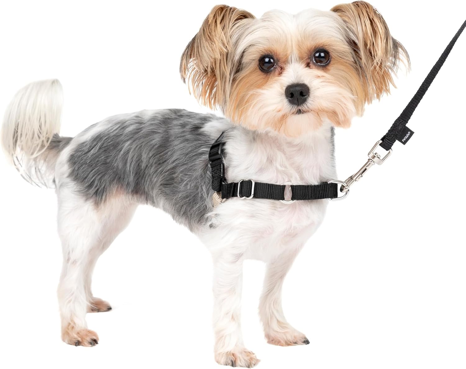 PetSafe Easy Walk Dog Harness, Large
