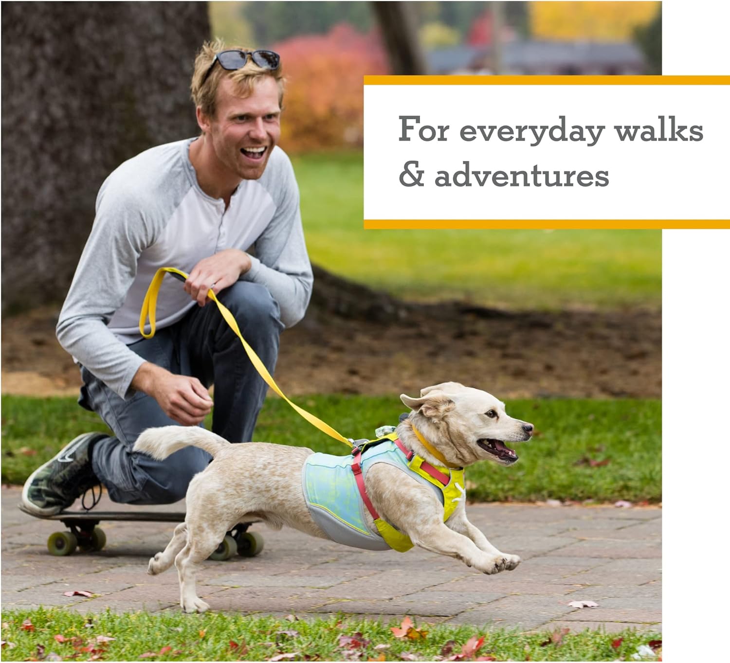 Lightweight Dog Harness, Trail Running, Walking, Hiking