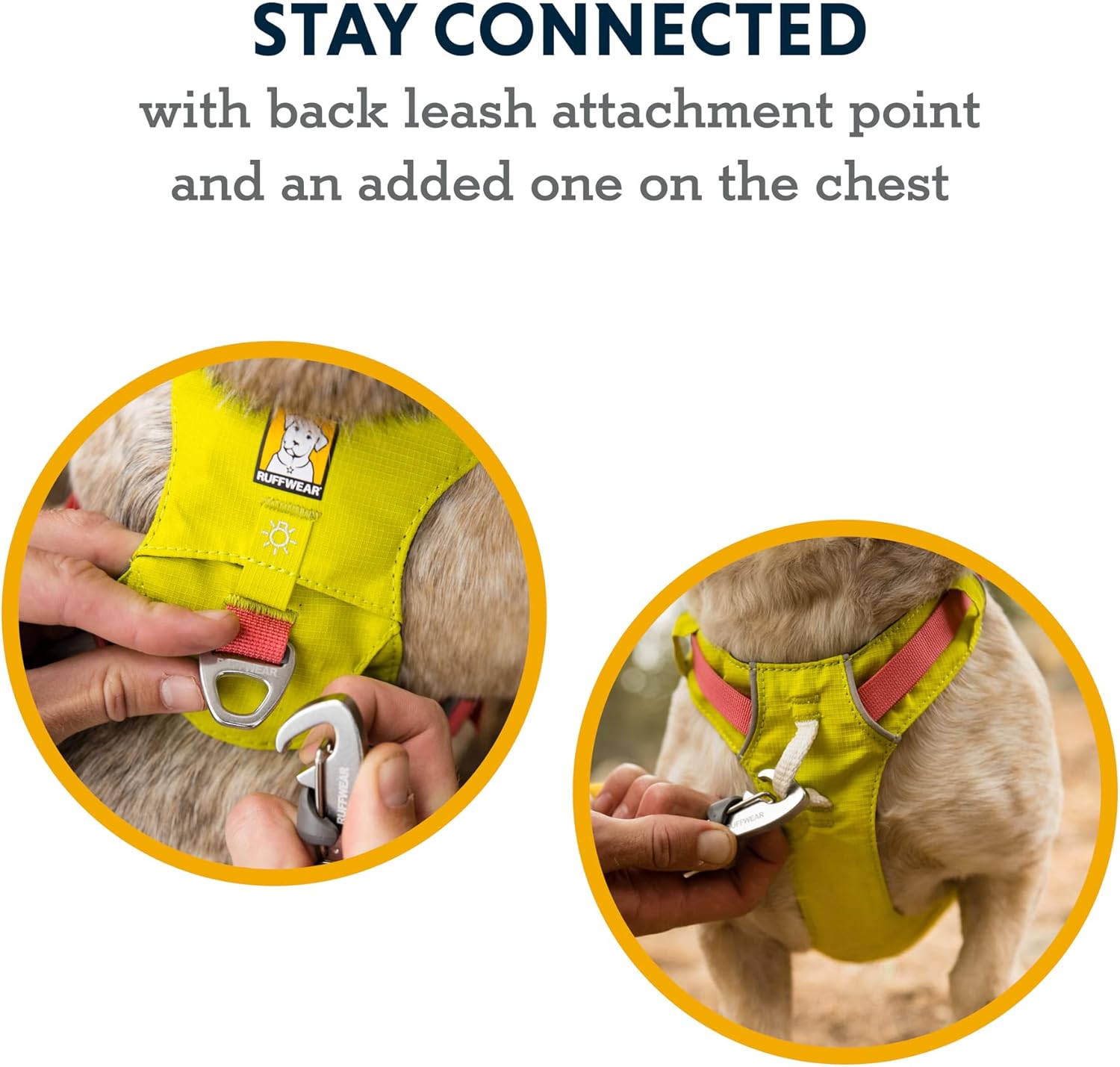 Lightweight Dog Harness, Trail Running, Walking, Hiking