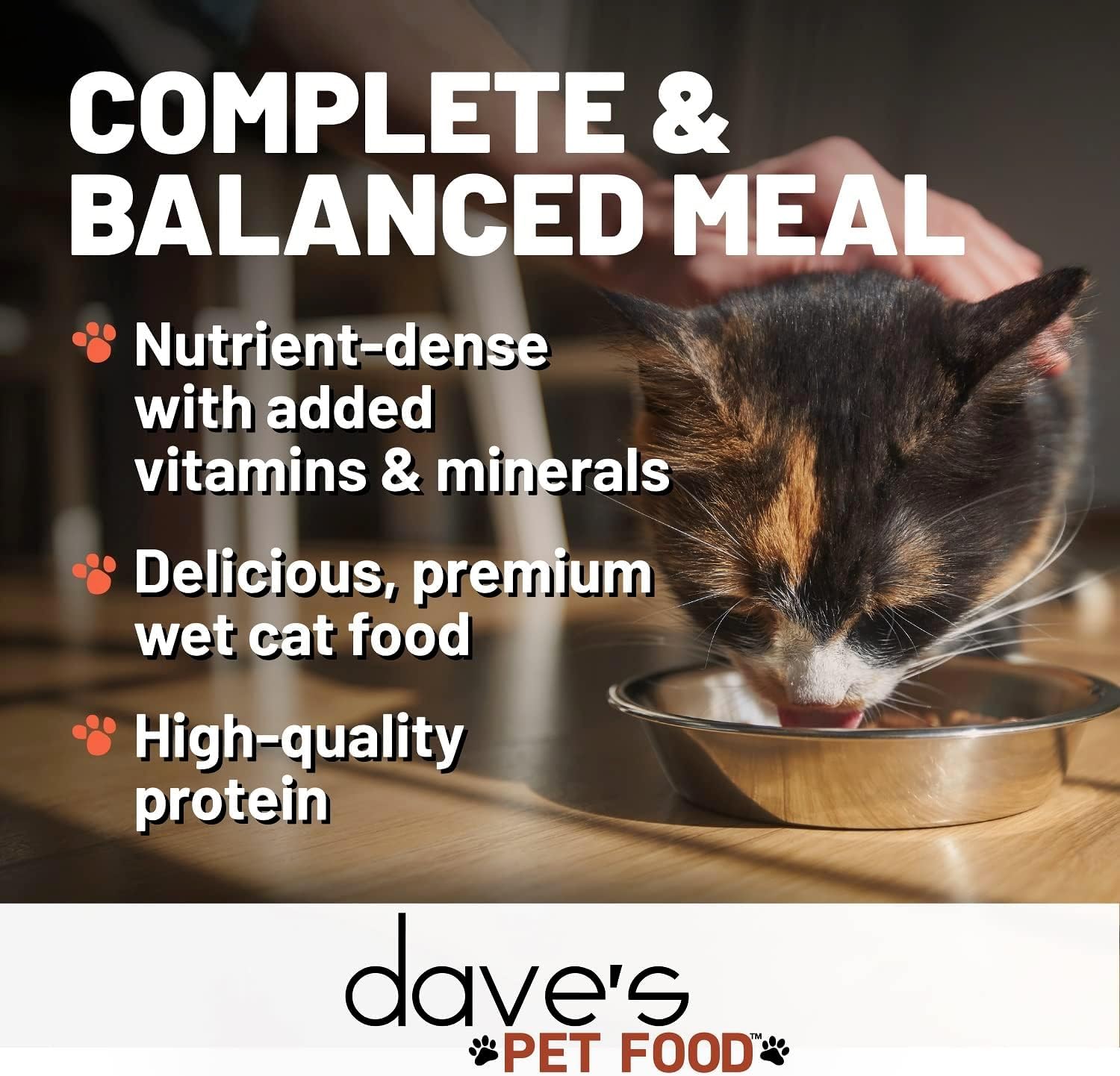 Pet Food Grain Free Wet Canned Cat Food (Turkey) Added Vitamins & Minerals