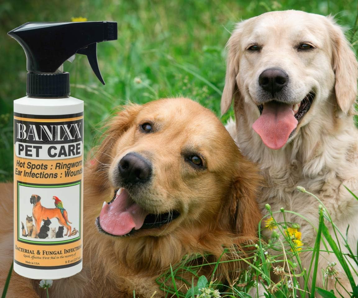 Banixx Pet Liquid Spray 8oz Ear Infection Hot Spot Ringworm Wounds