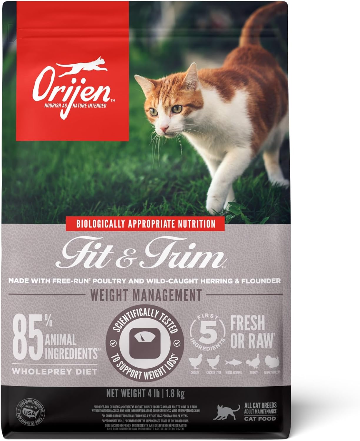 Grain Free High Protein Premium Dry Cat Food Original Recipe 12Lb Bag